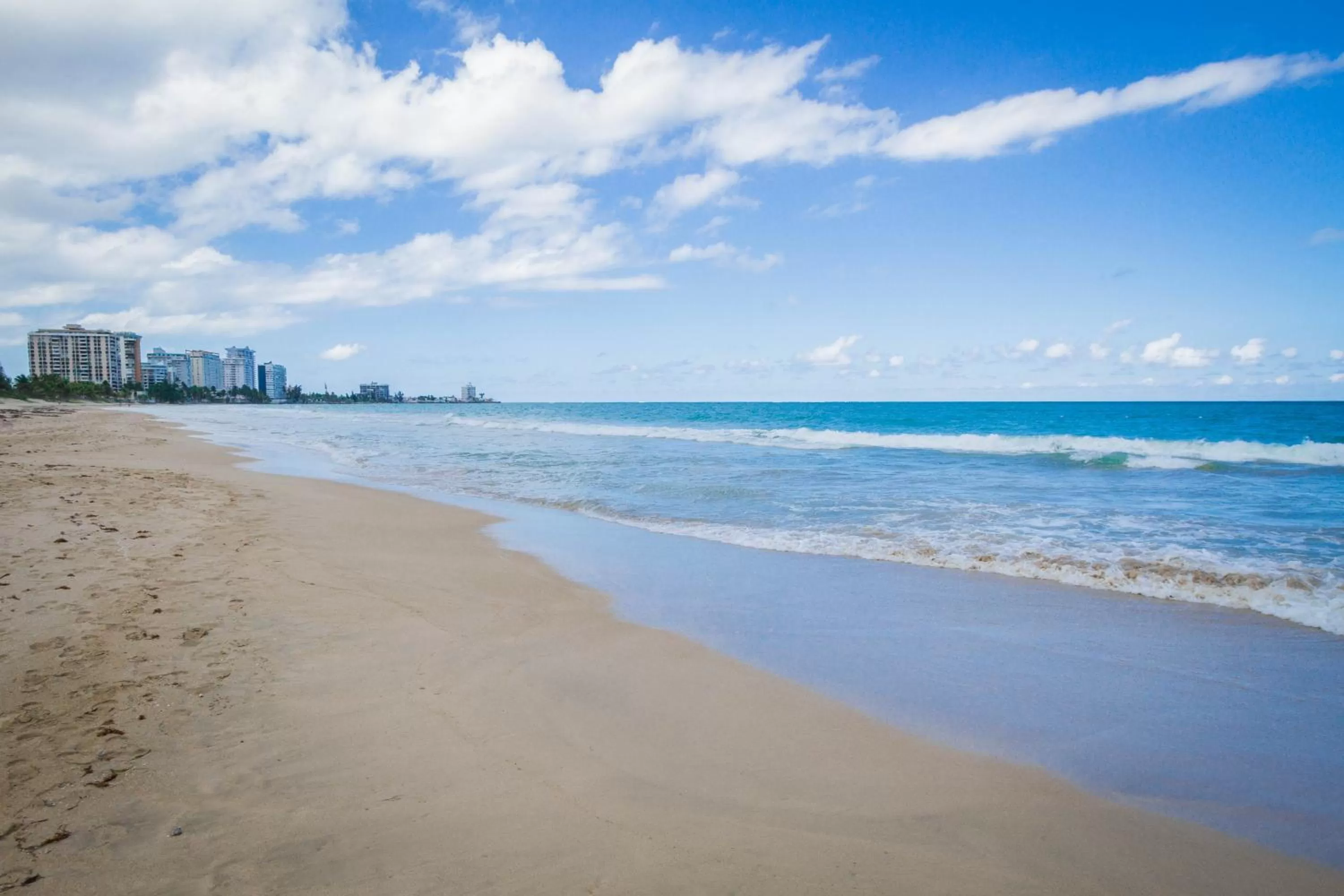 Natural landscape in TRYP by Wyndham Isla Verde