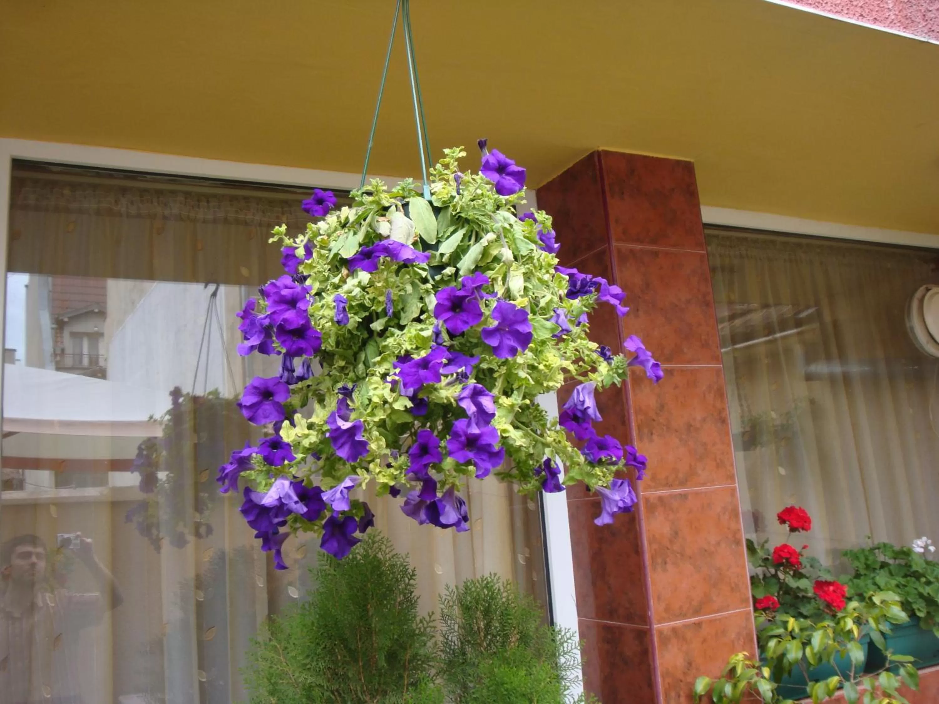 Decorative detail in Hotel Color