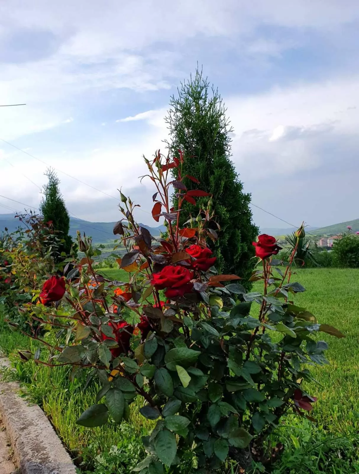 Spring, Garden in Guest house Ijevan's Garden