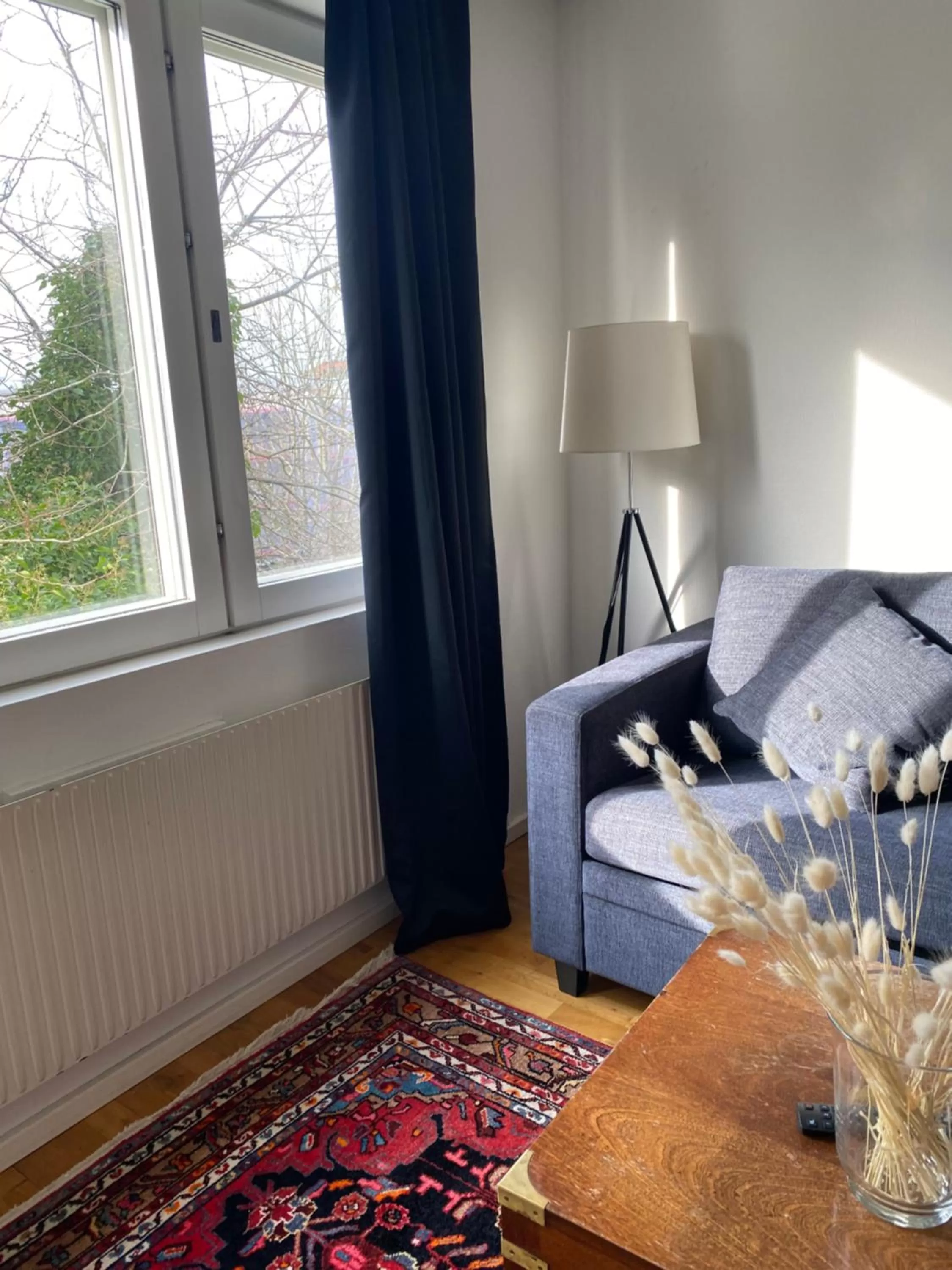 Living room in Place Lund