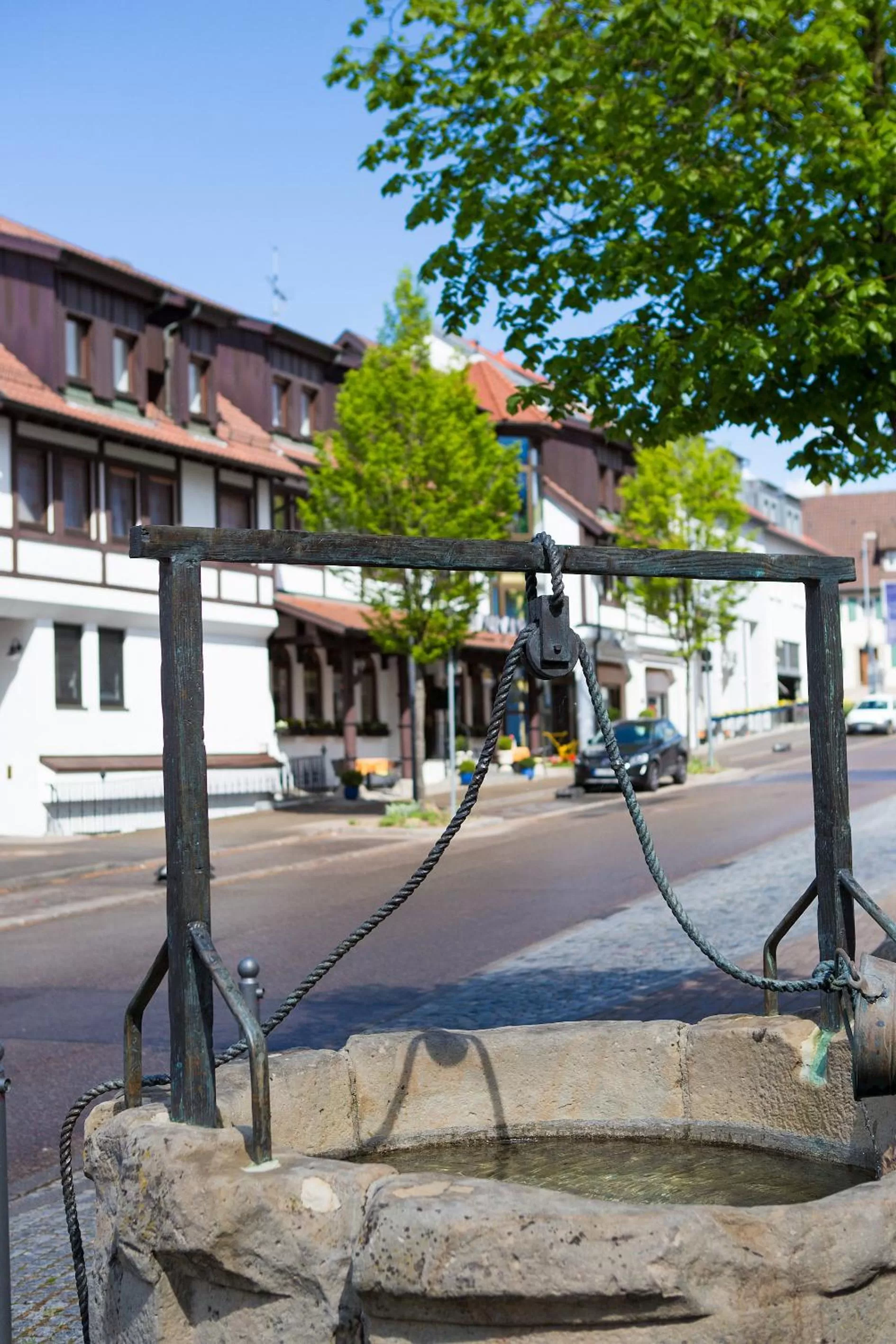 Street view in Hotel & Restaurant Goldener Pflug