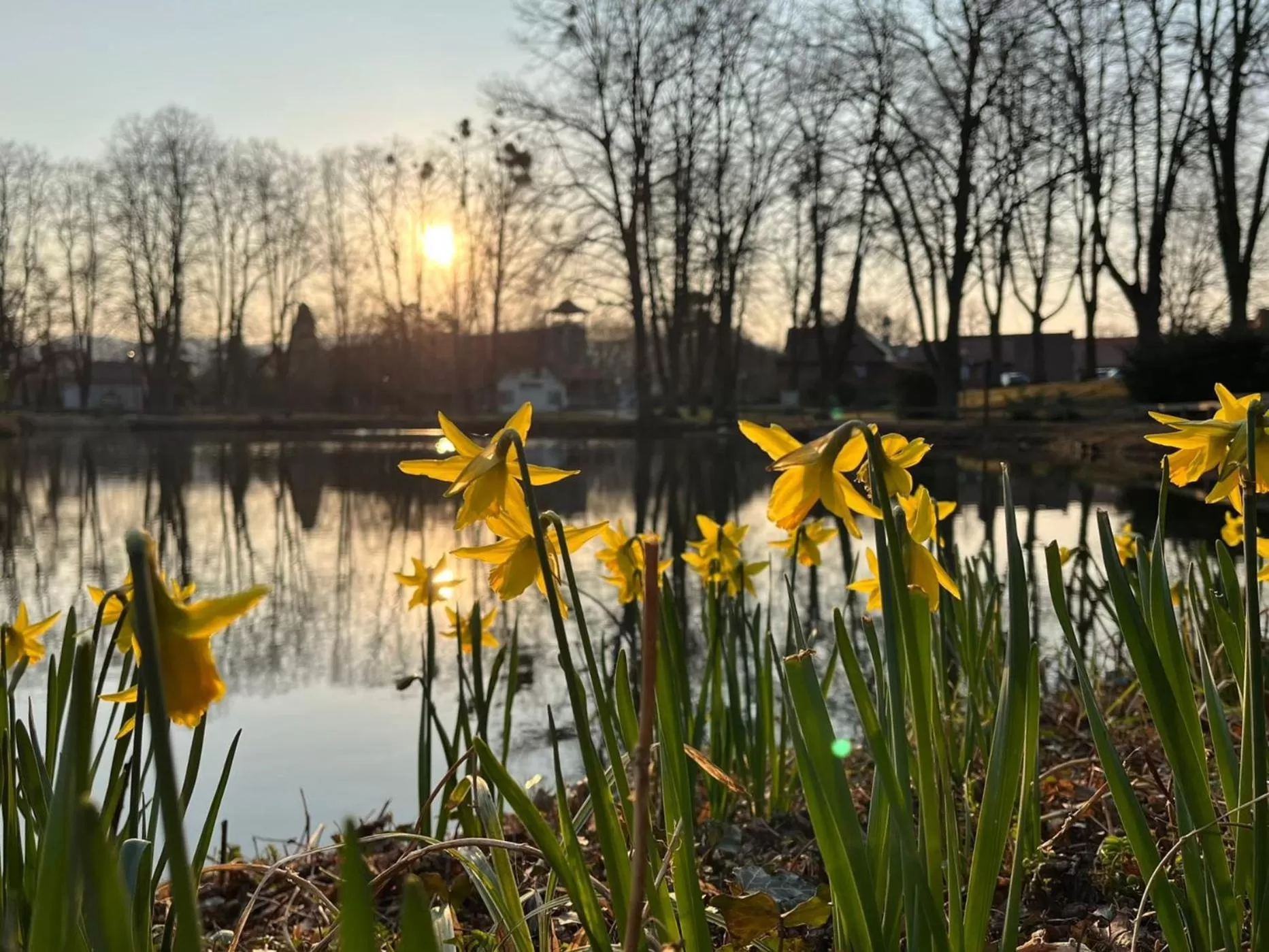 Sunrise in Parkhotel Am Schwanenteich