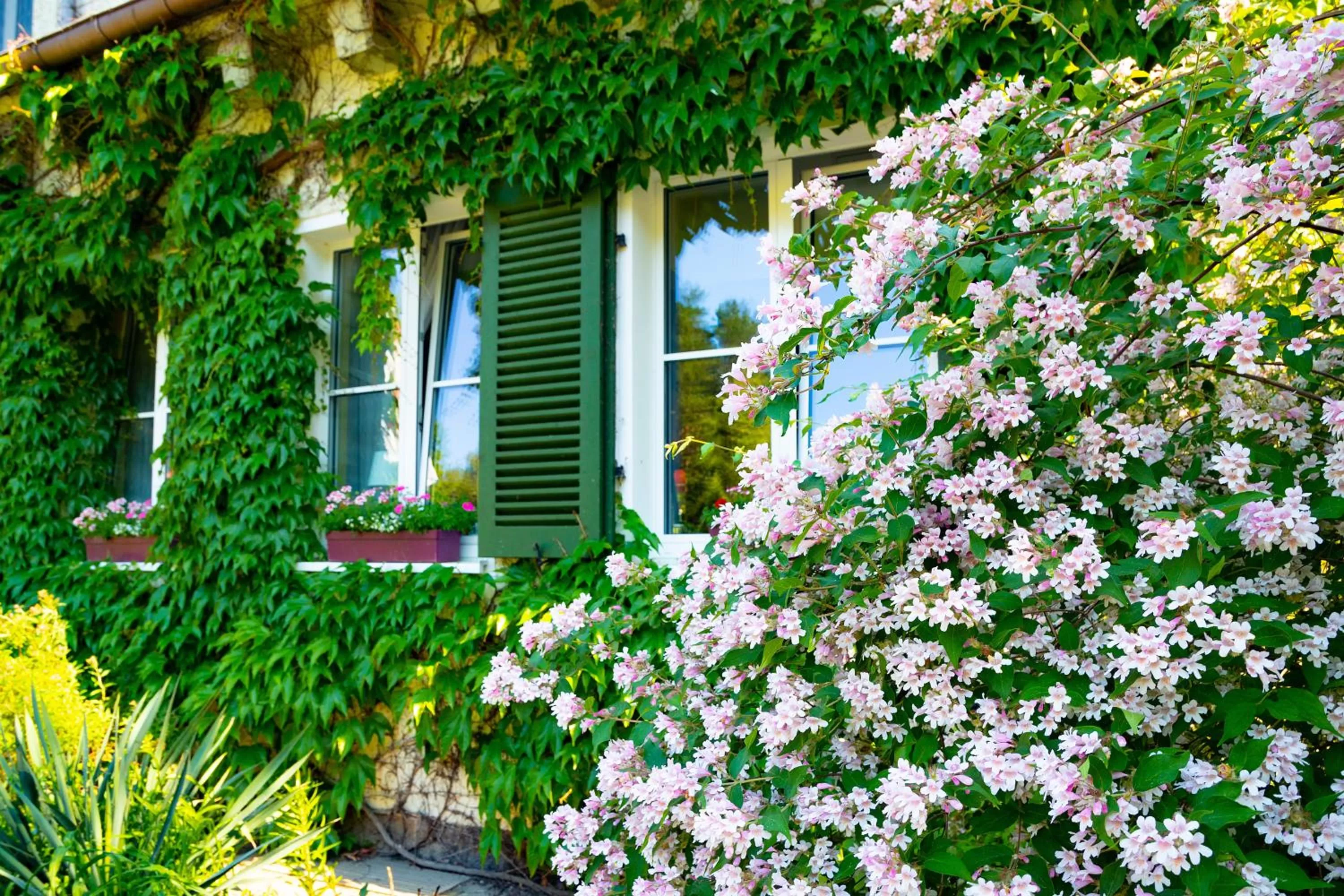 Facade/entrance in Hotel Döllnsee-Schorfheide