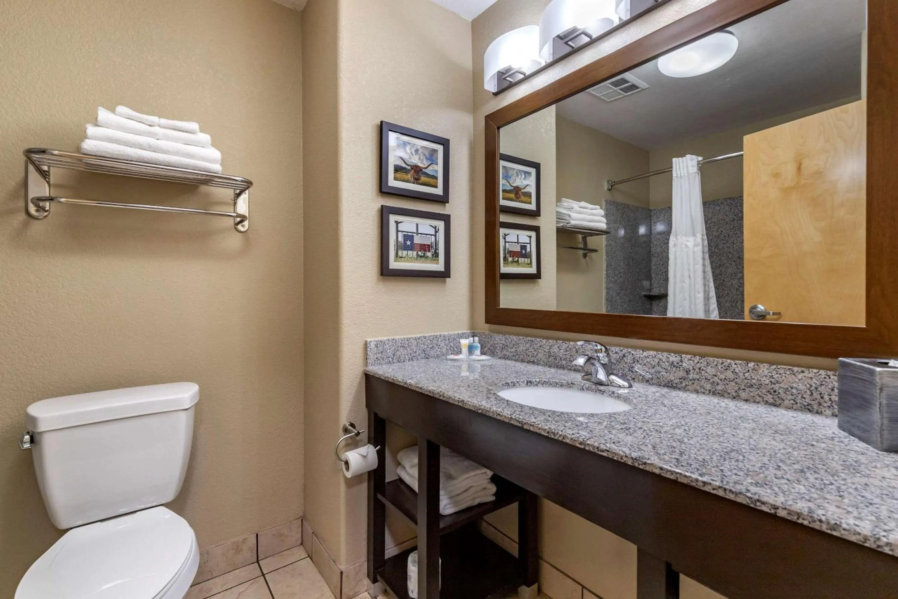 Bathroom in Comfort Suites Georgetown