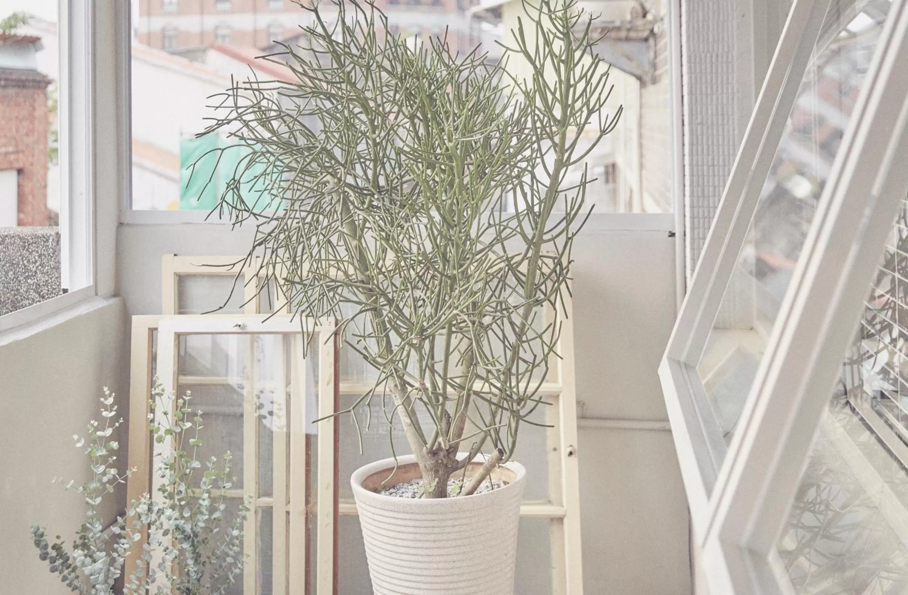 Balcony/Terrace in The Door Inn