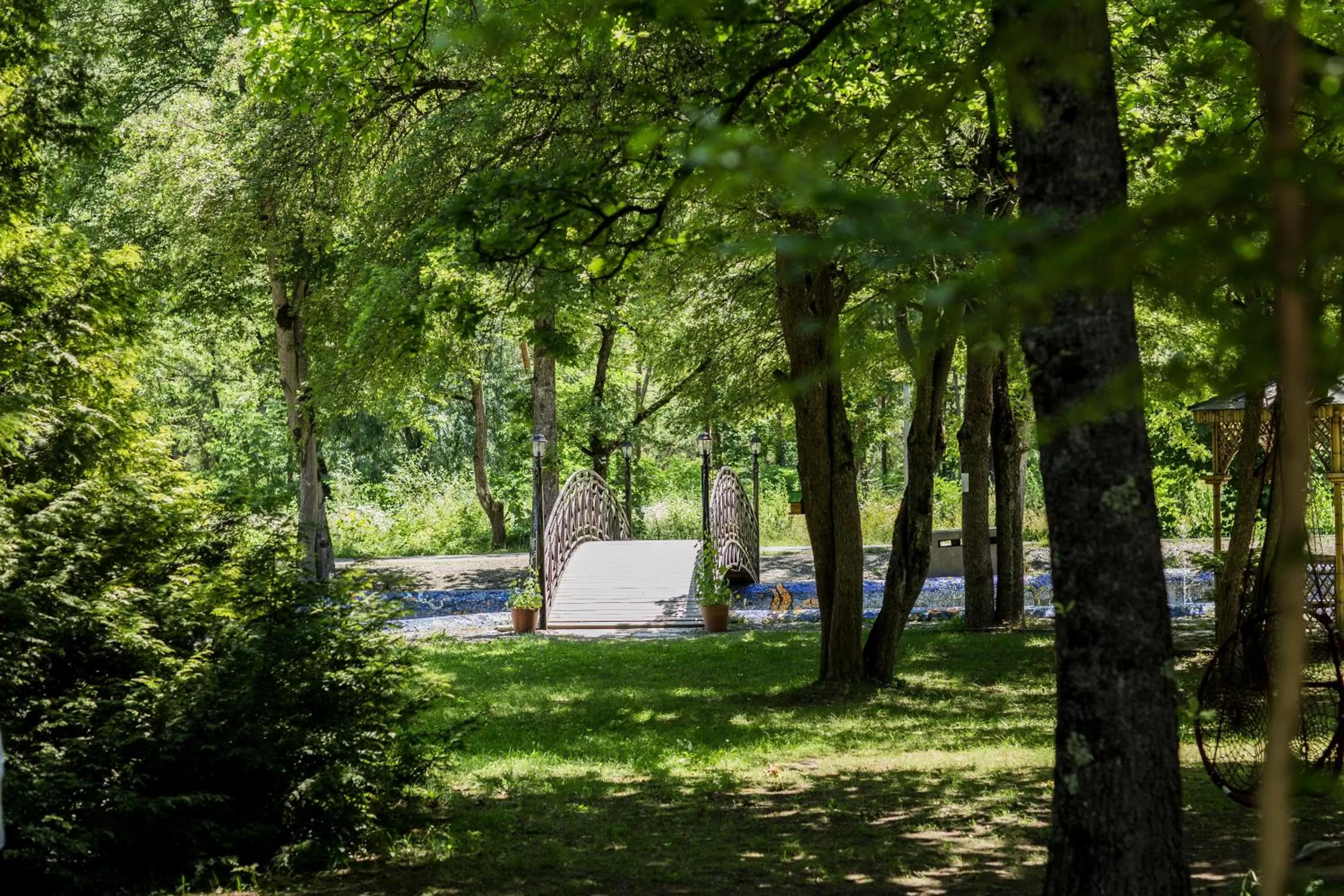 Garden in Borjomi Likani Health & Spa Centre