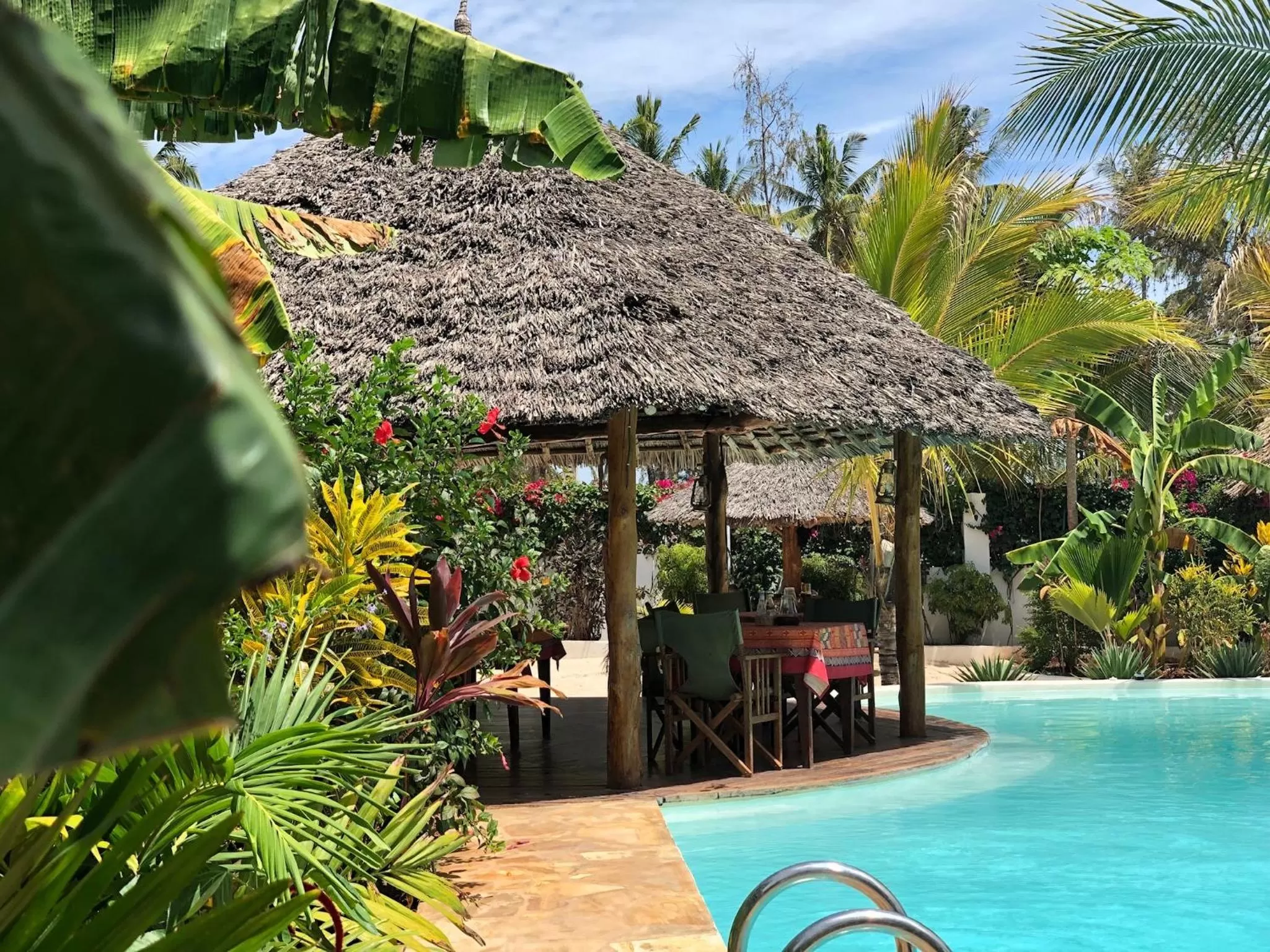 Restaurant/places to eat, Swimming Pool in Aluna Nungwi