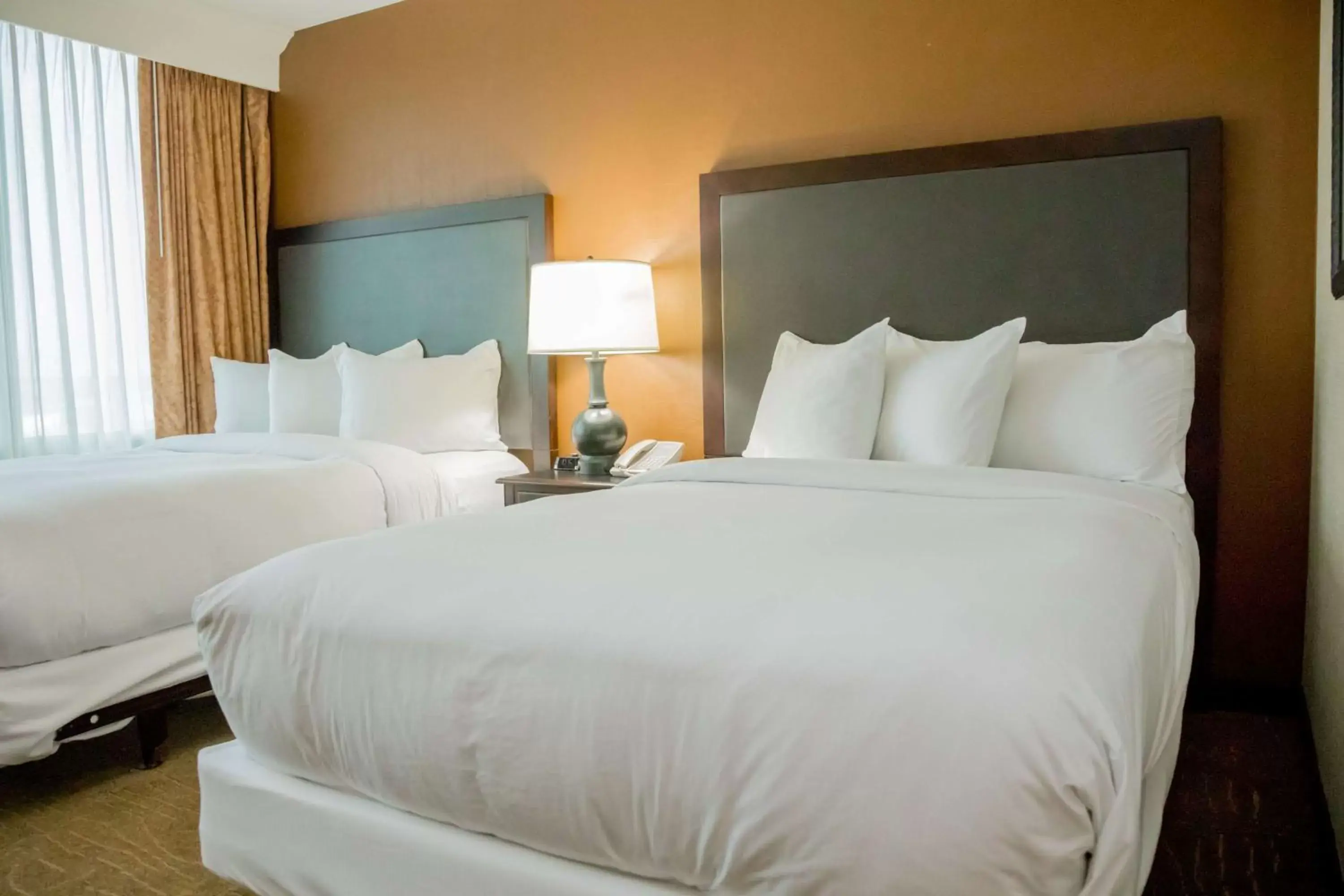 Suite in Embassy Suites by Hilton Lexington Green Suite in Embassy Suites by Hilton Lexington Green