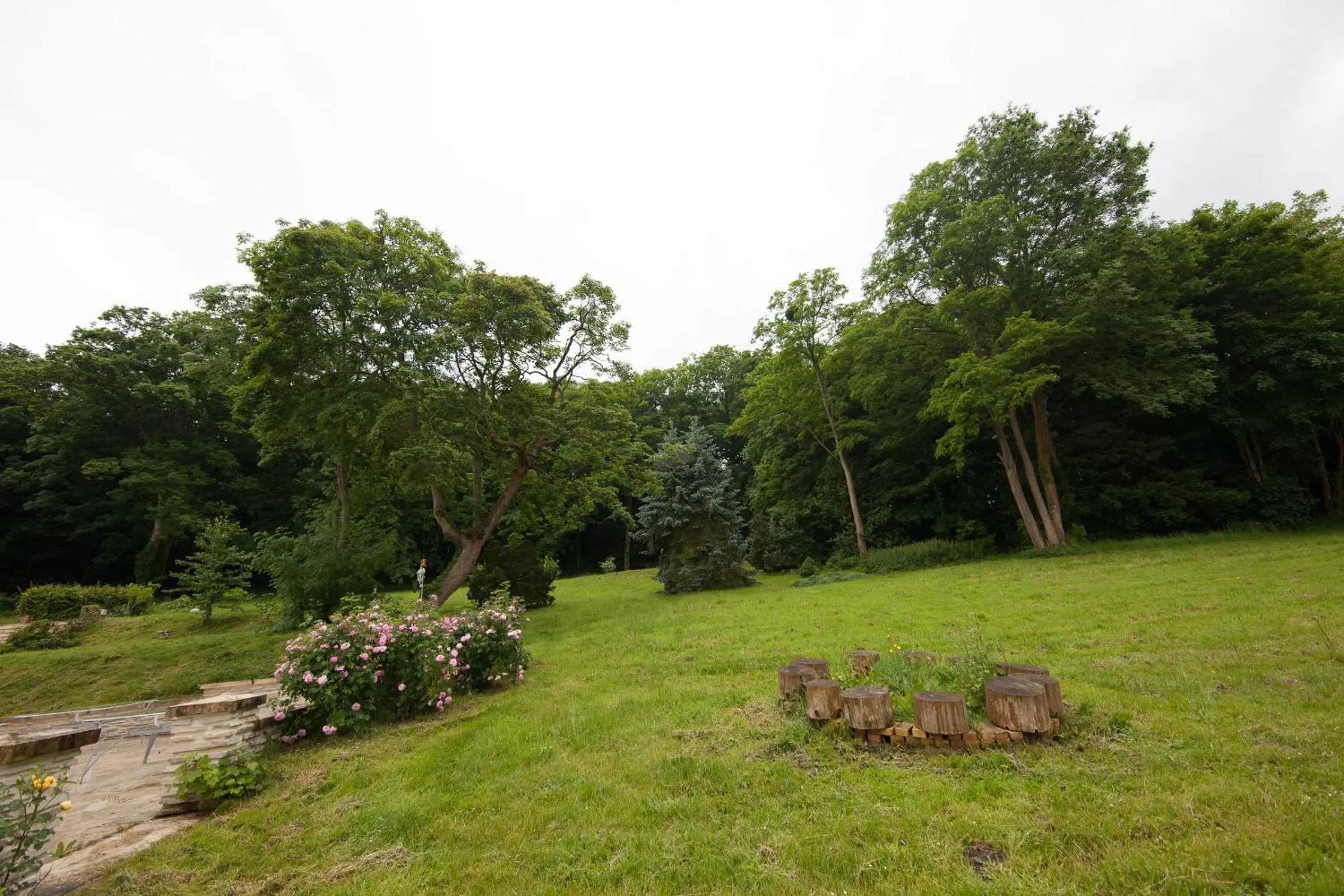 Garden in Château du Jard