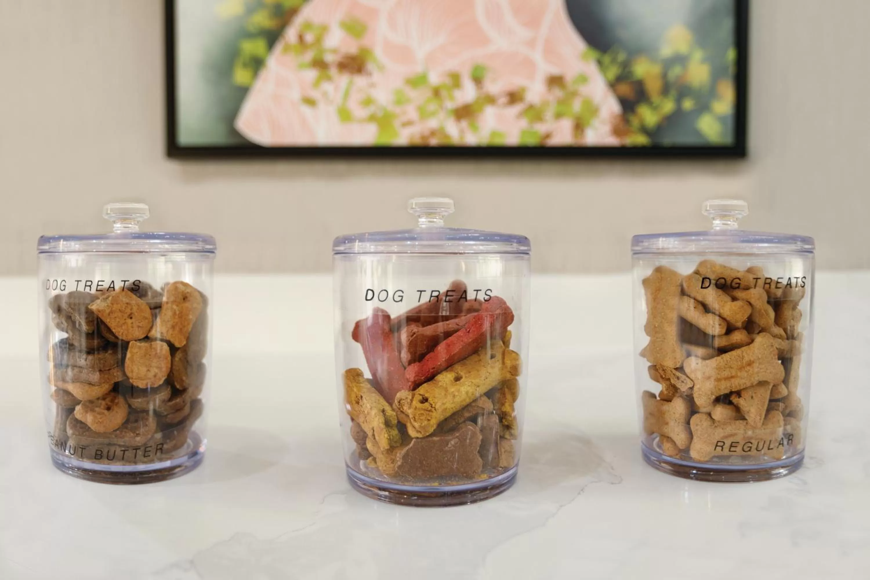 Pets in La Quinta inn & suites by Wyndham Dothan