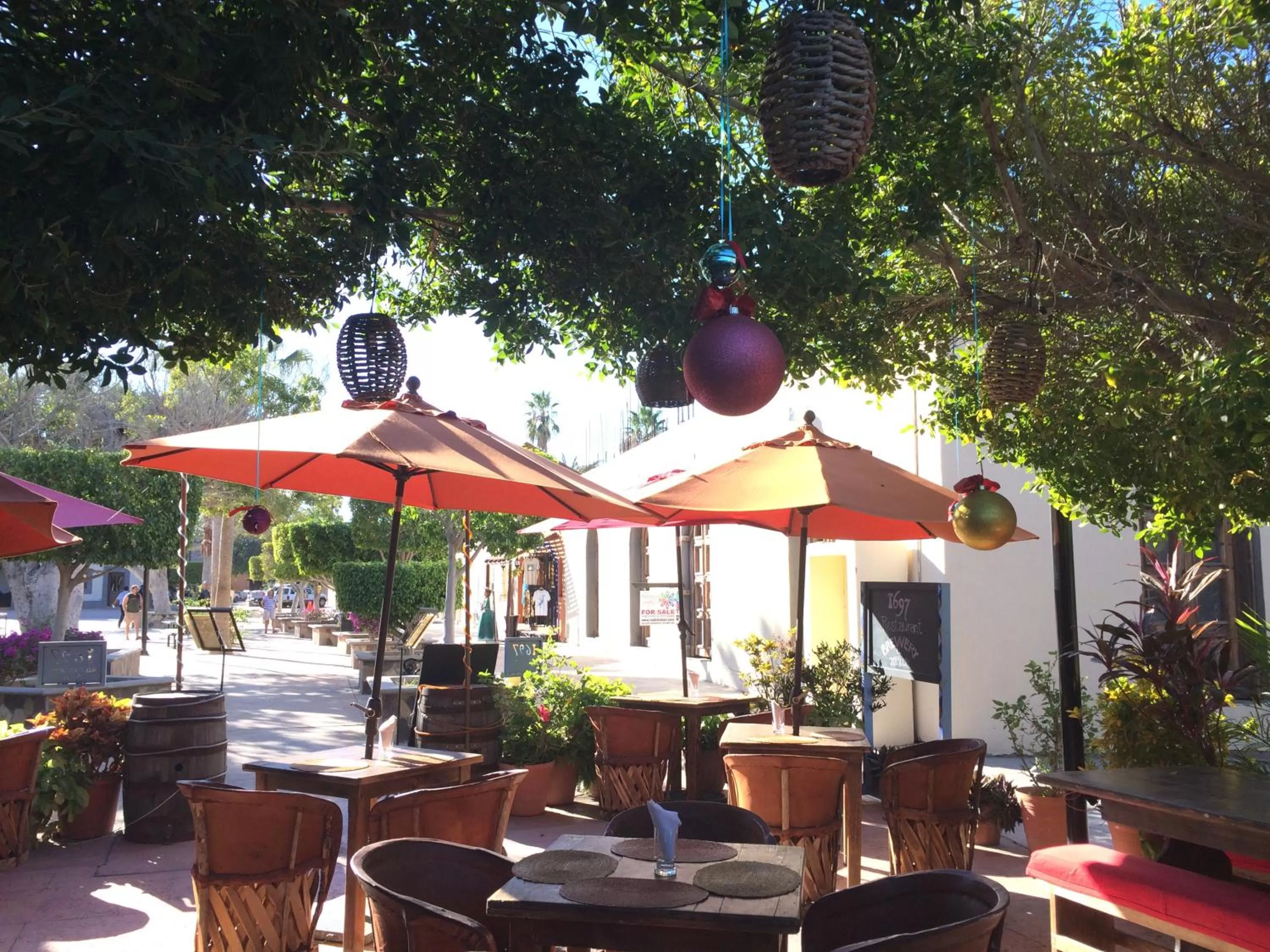 Restaurant/places to eat in Hotel 1697 Loreto