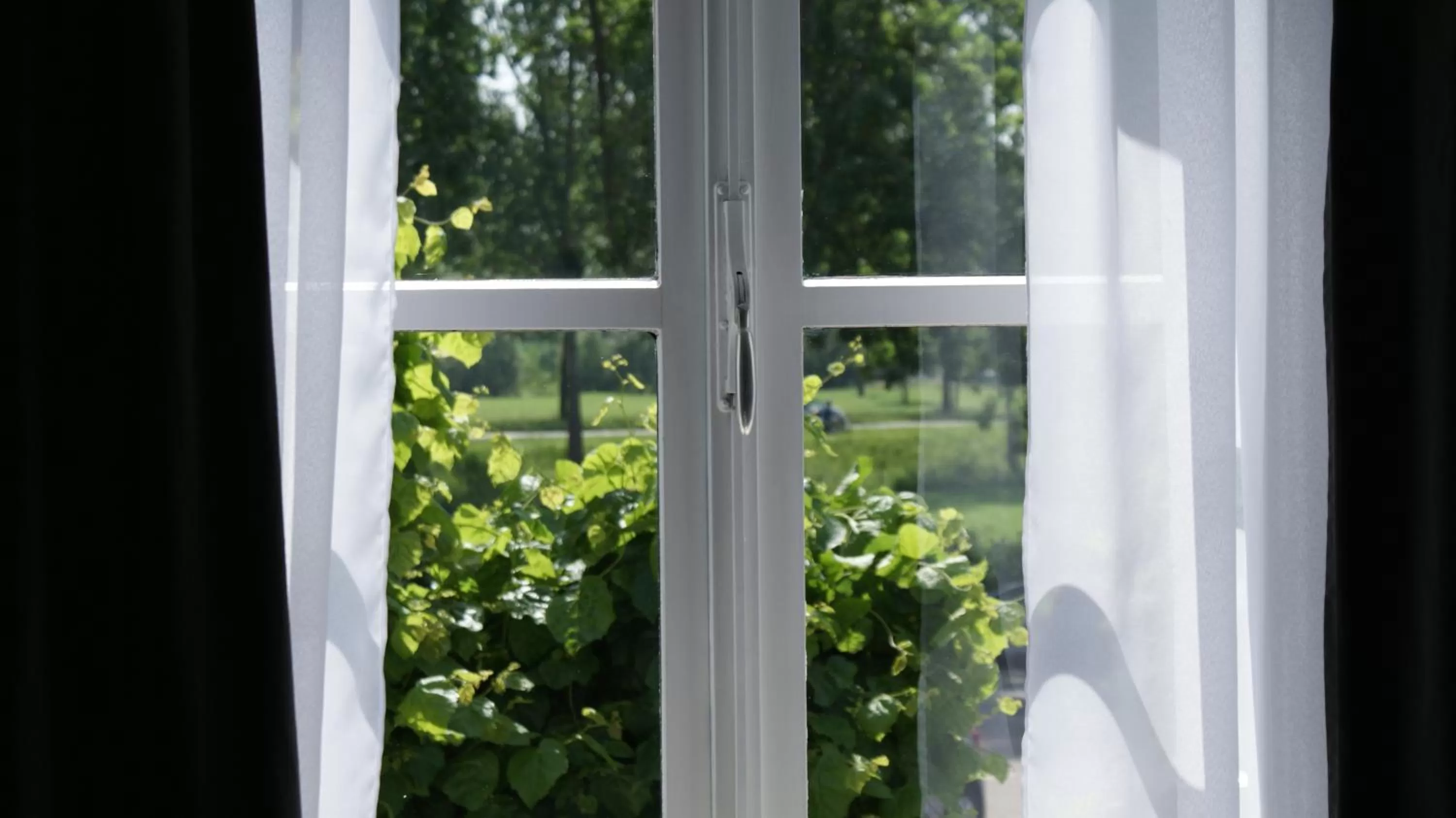 Street view in In den Roden Leeuw van Limburg