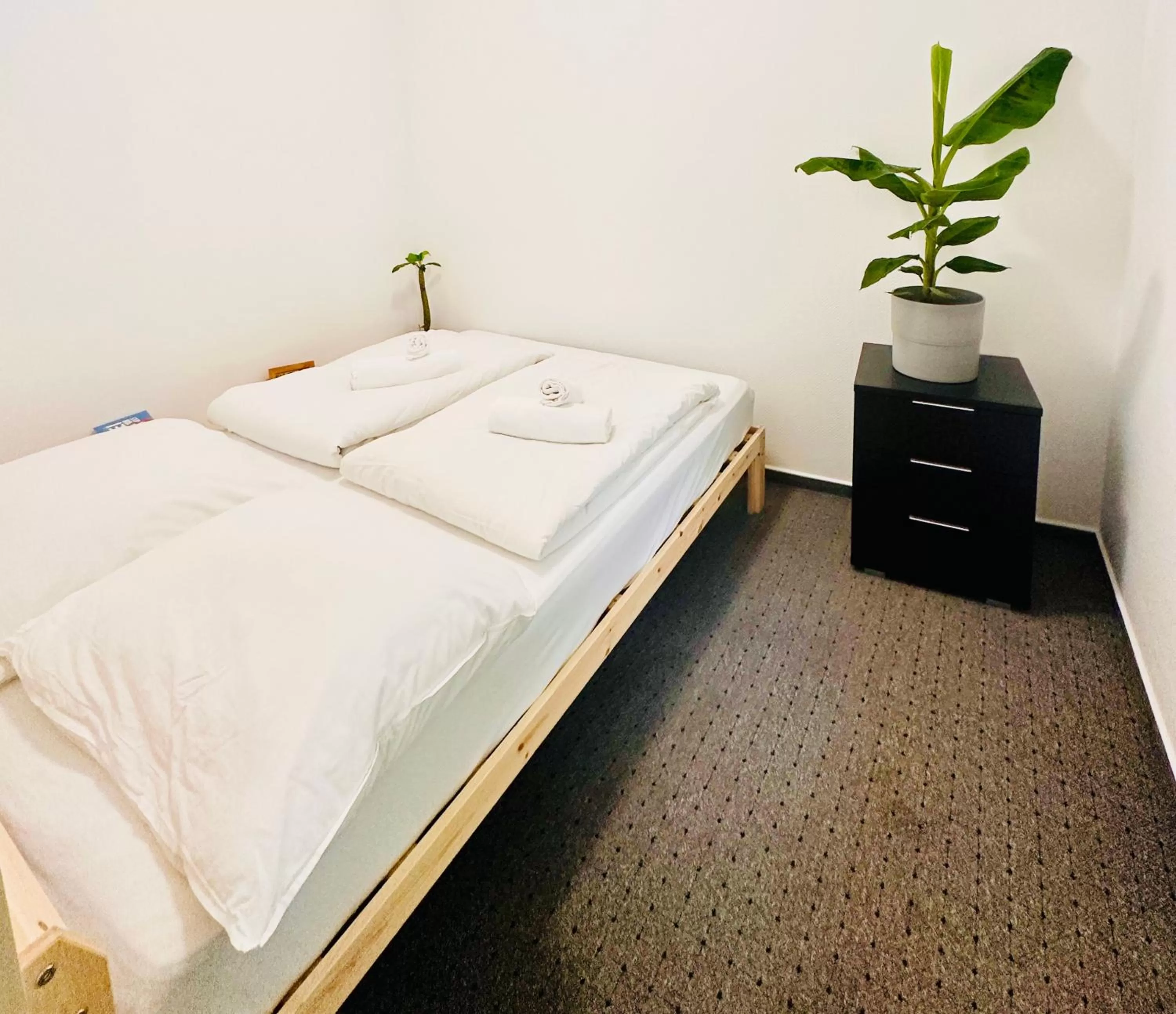 Bed in Saale, Marktplatz Zentrum, Apartmenthaus am Dom von Plant Room