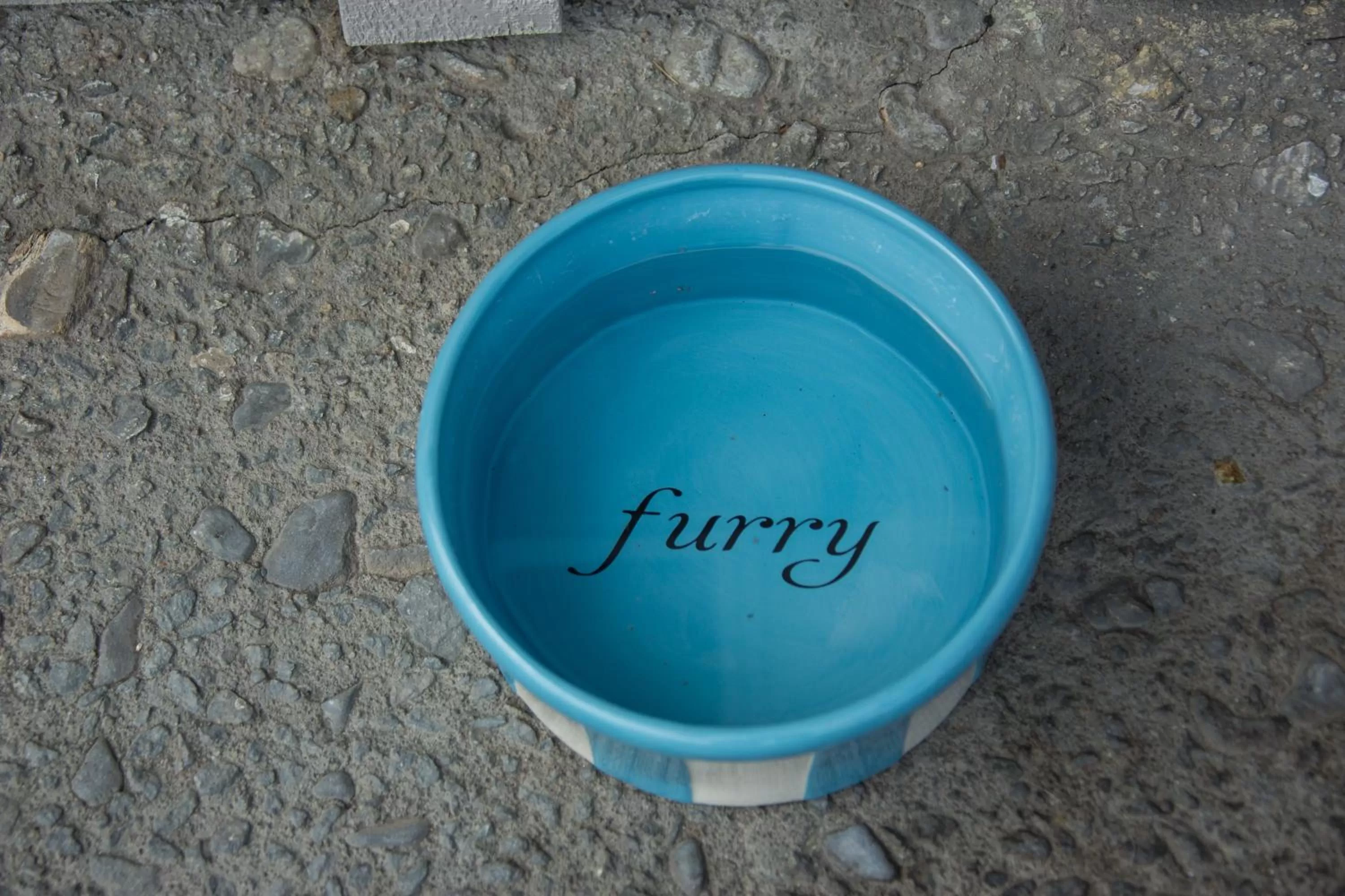 Animals in Carmel River Inn & Cottages