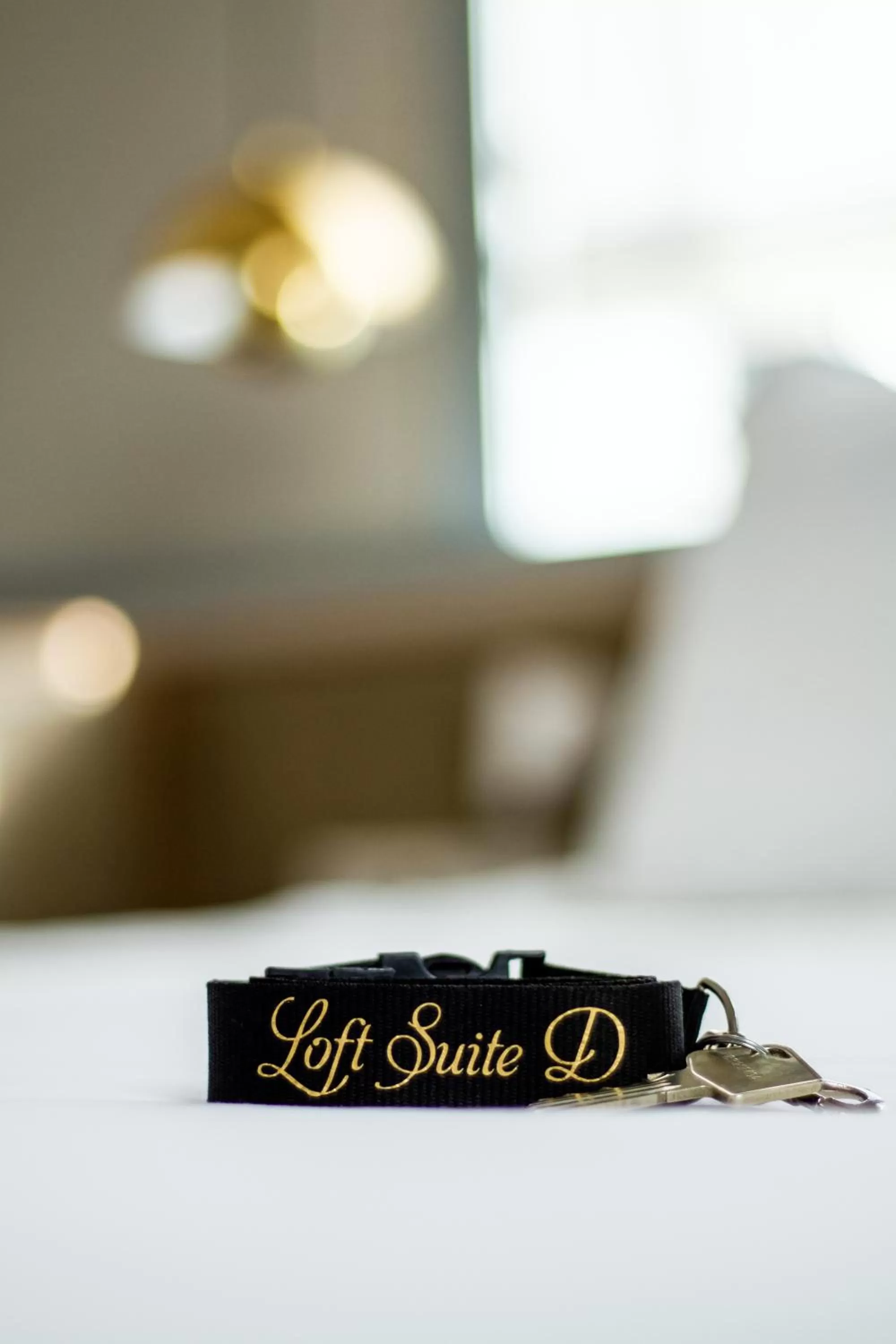 acessibility in Aparthotel Hattem