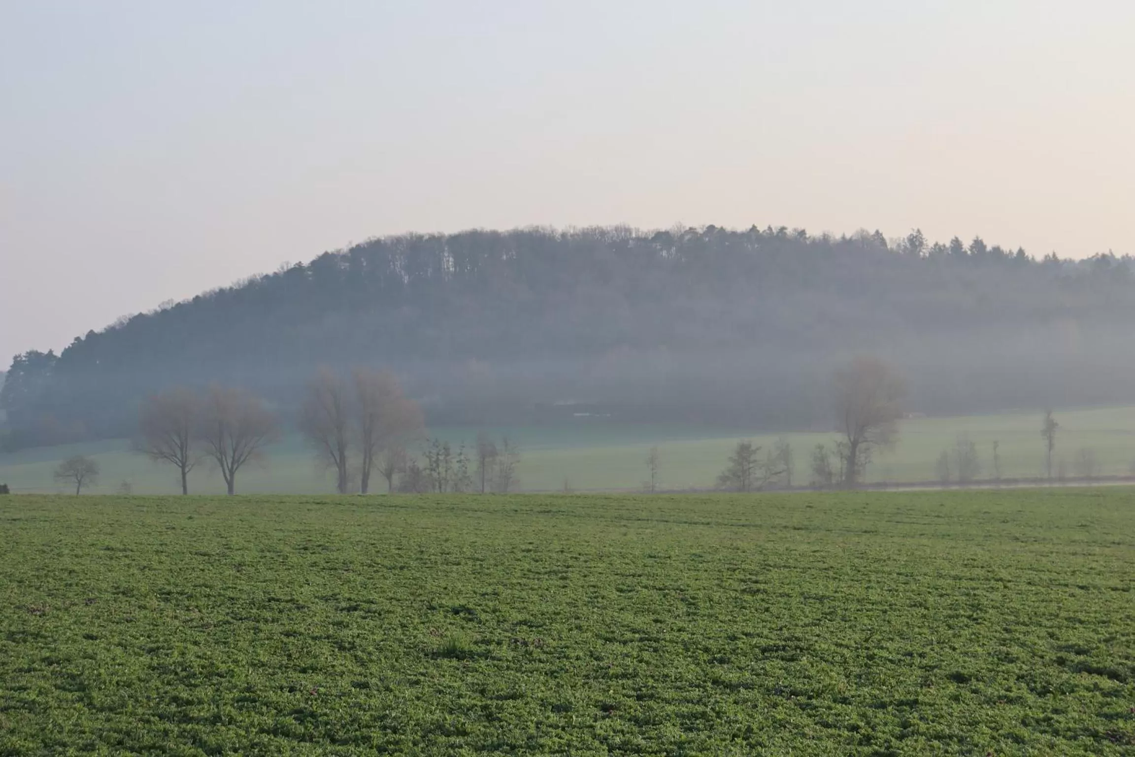 Natural Landscape in Zur Altmühlquelle