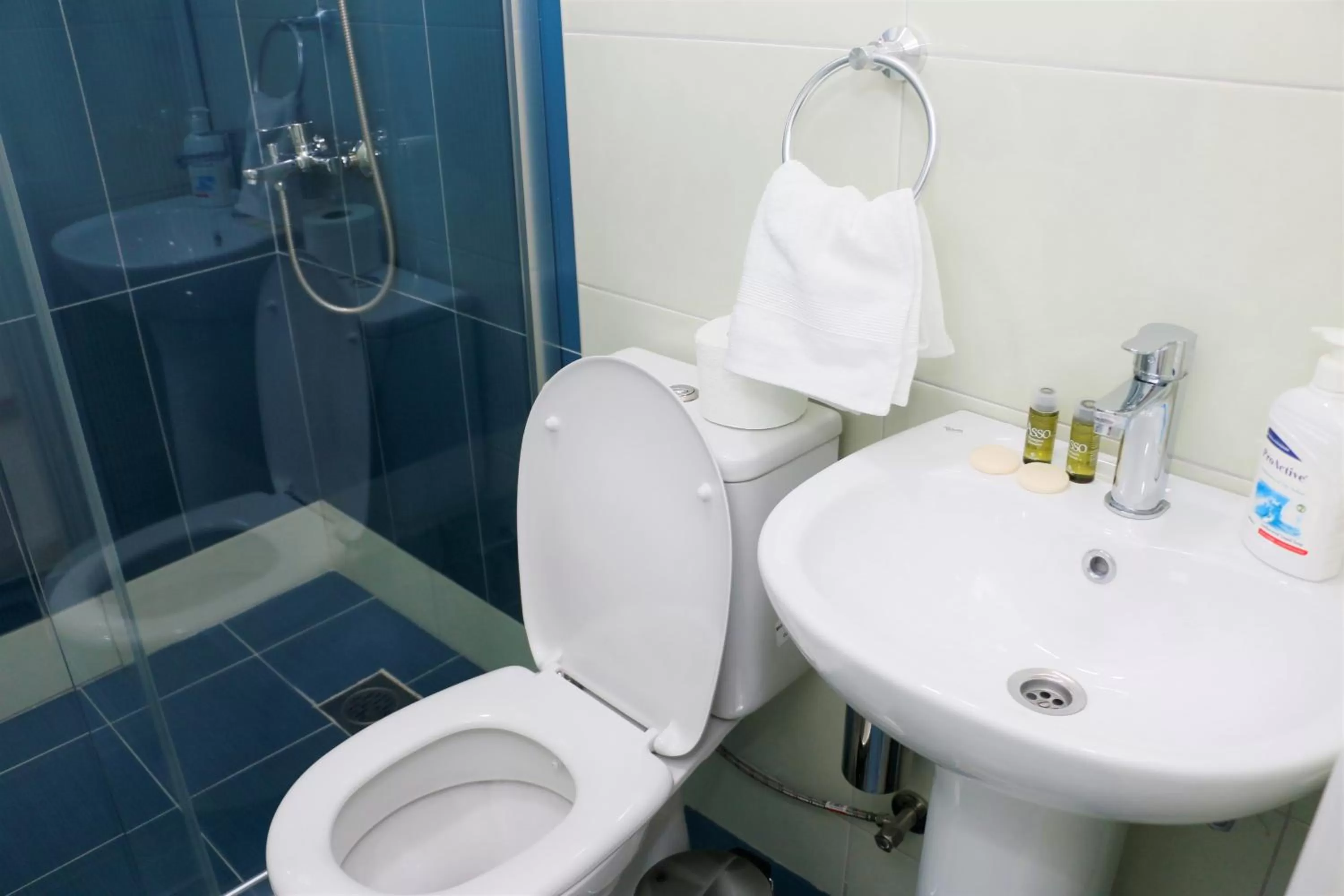 Shower, Bathroom in Hotel Old Konak