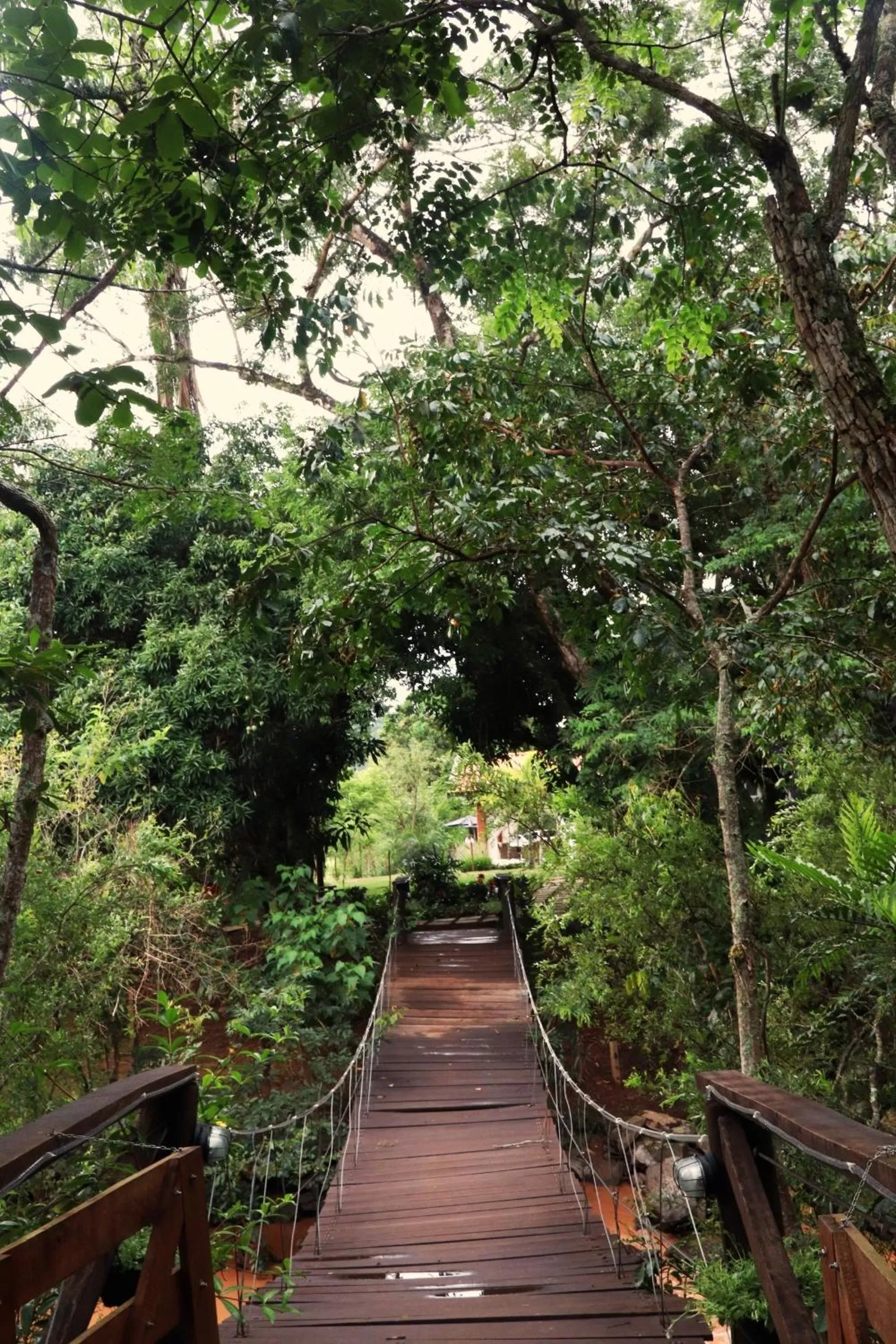 Natural landscape in Pousada Santa Thereza