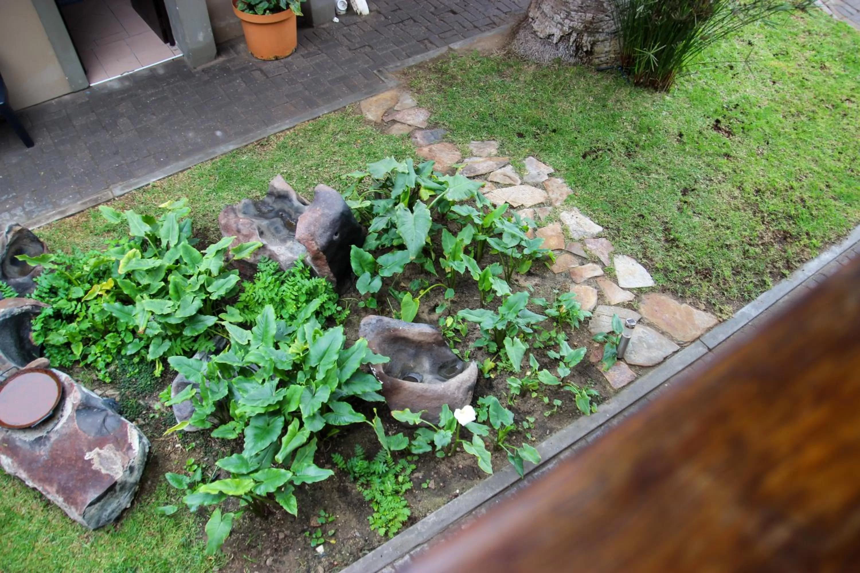 Other Animals in The Residence at Villa Wiese