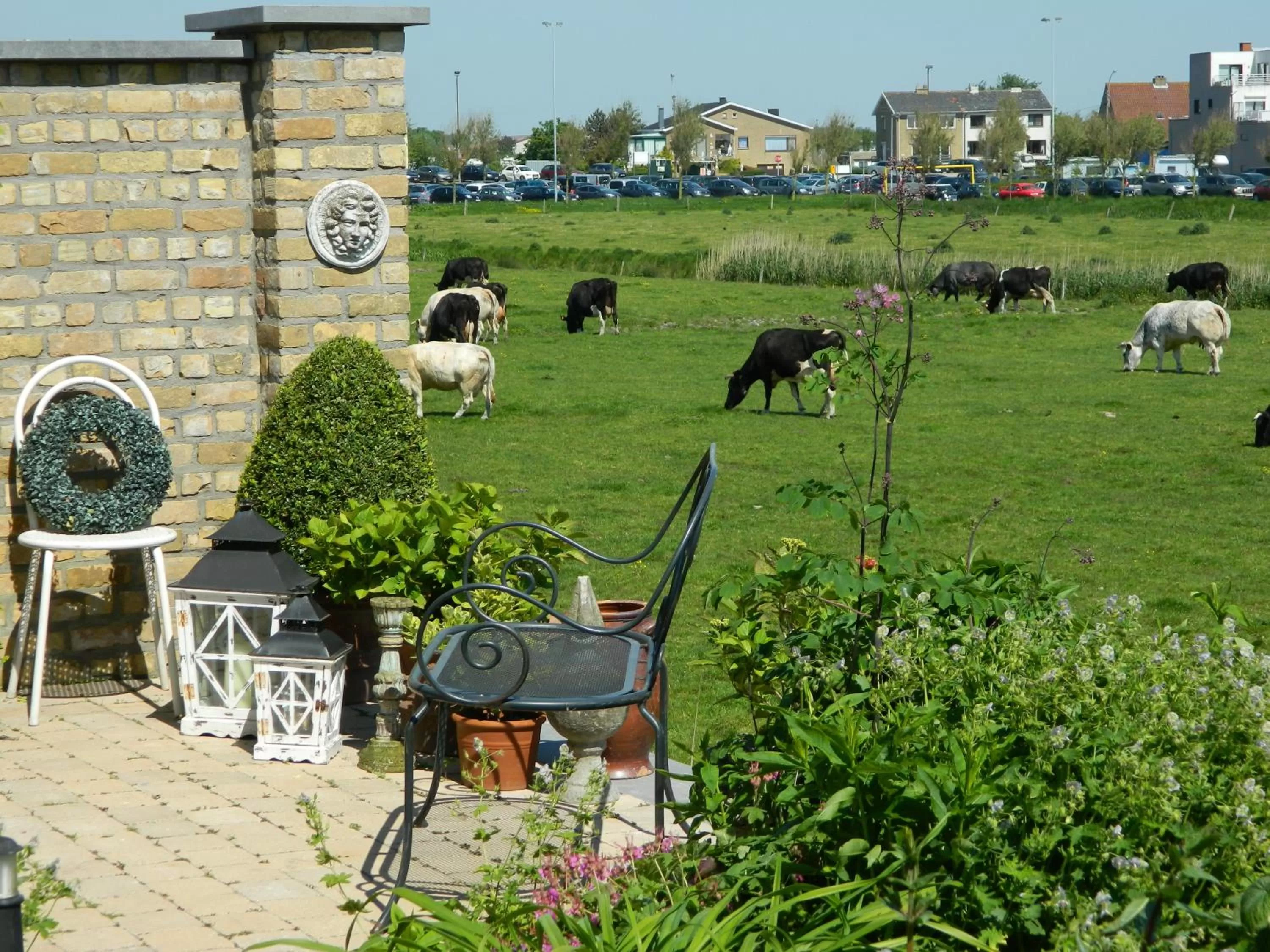 Garden, Other Animals in Bed & Breakfast Het Zilte Zand - Westende - Middelkerke - De Kust