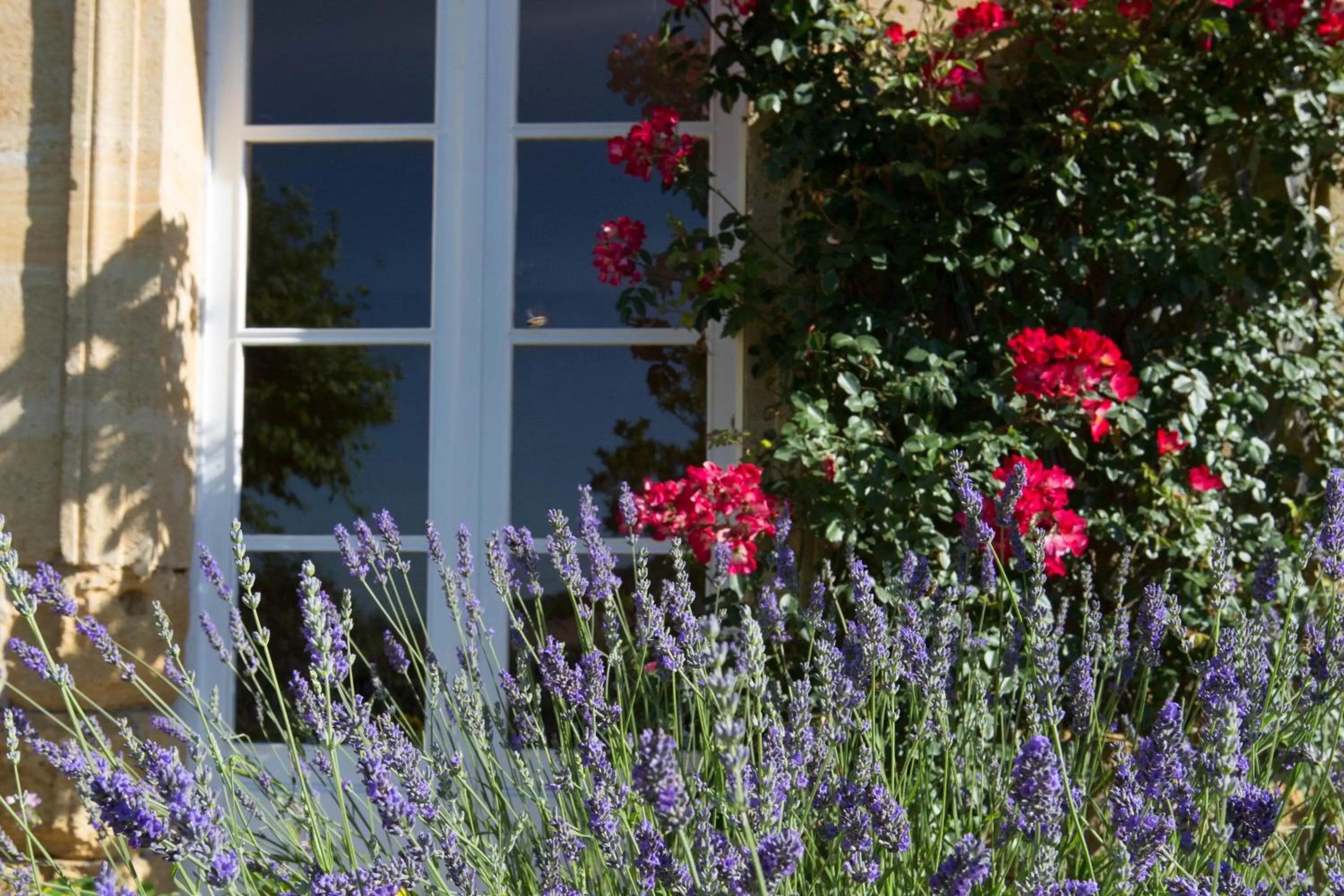 Property building in Chateau du Palanquey & SPA