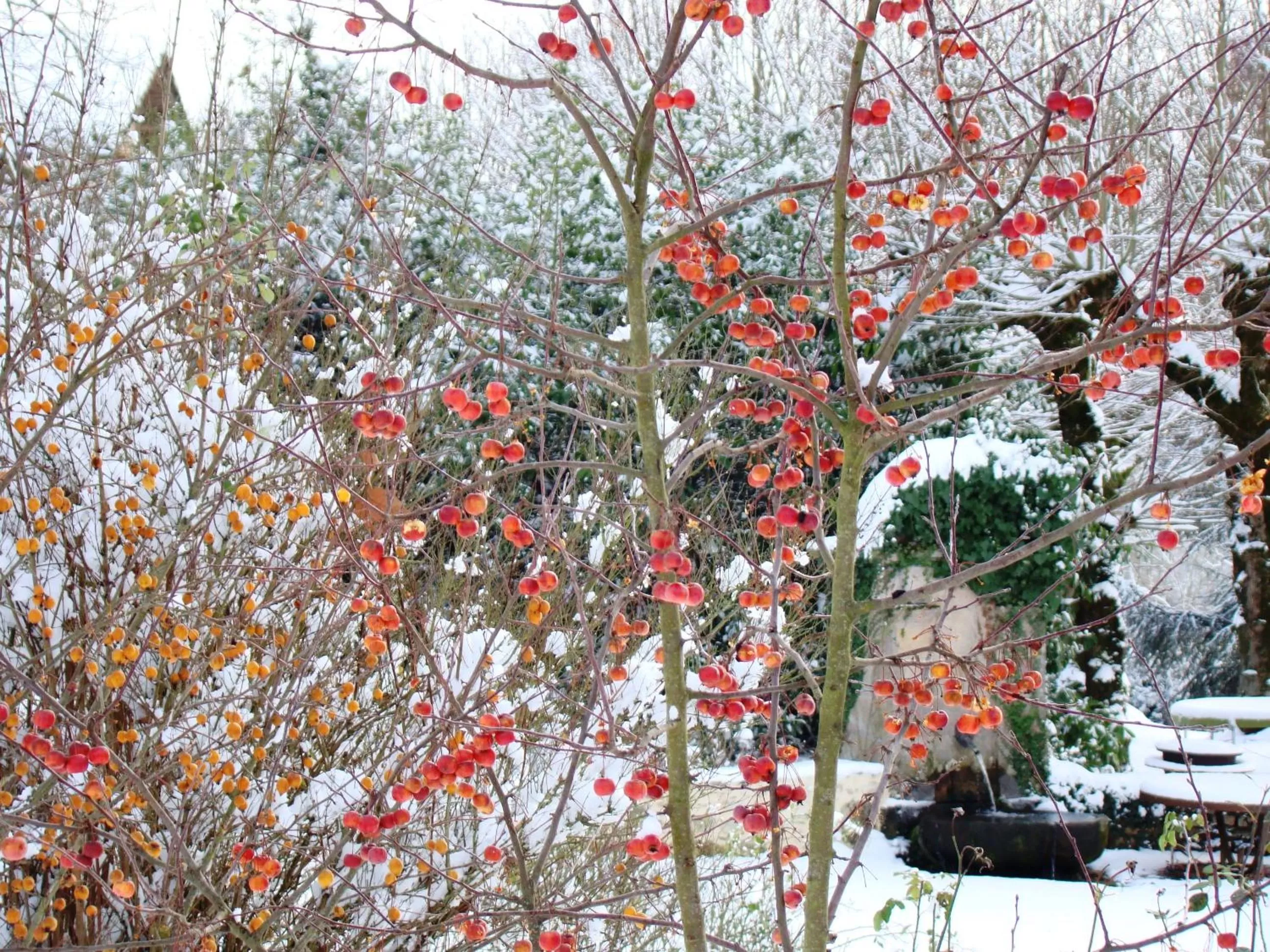 Natural landscape in Château de la Chabroulie