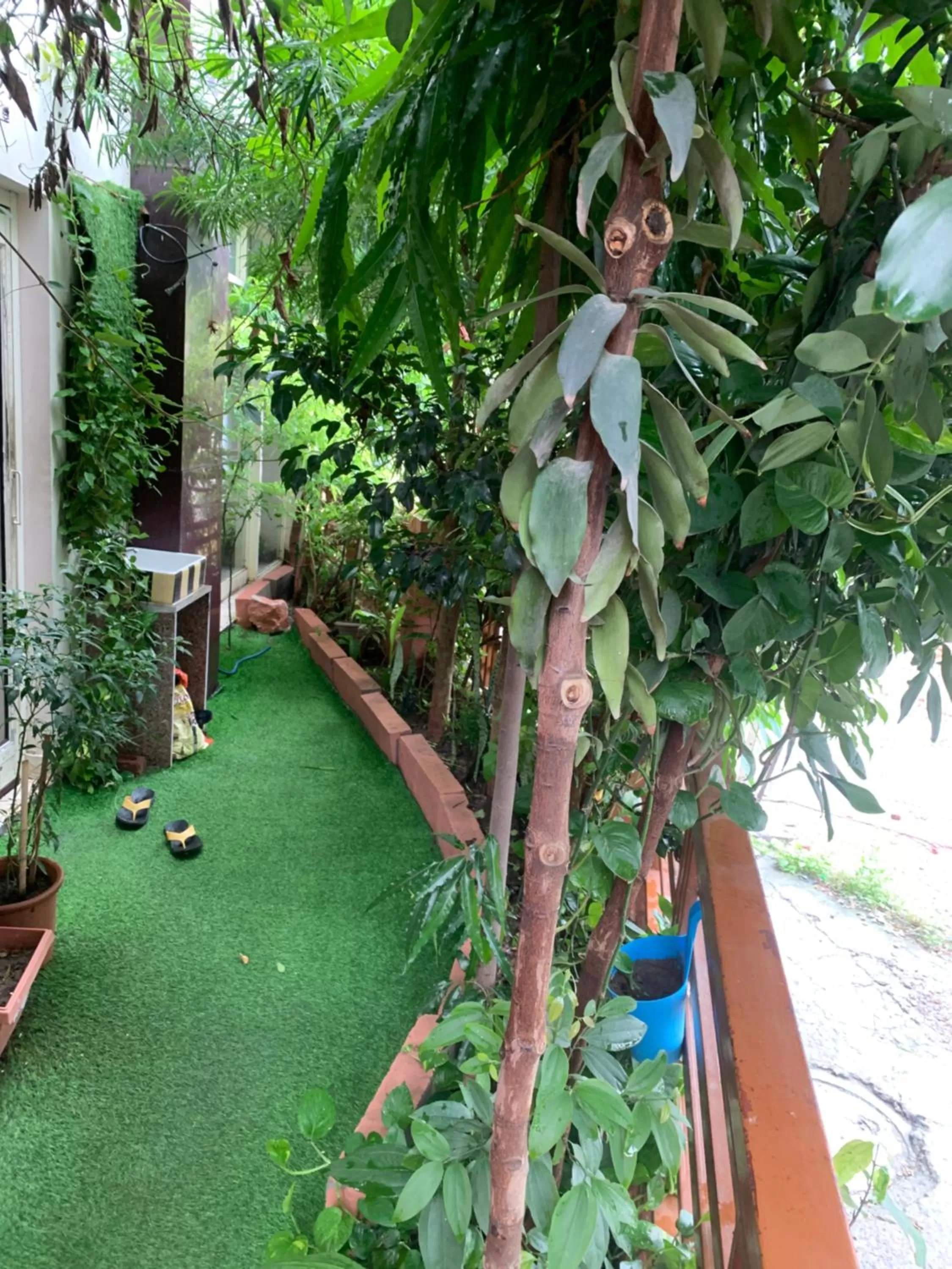 Garden view in Rudram Hotel Yoga & Ayurveda Retreat