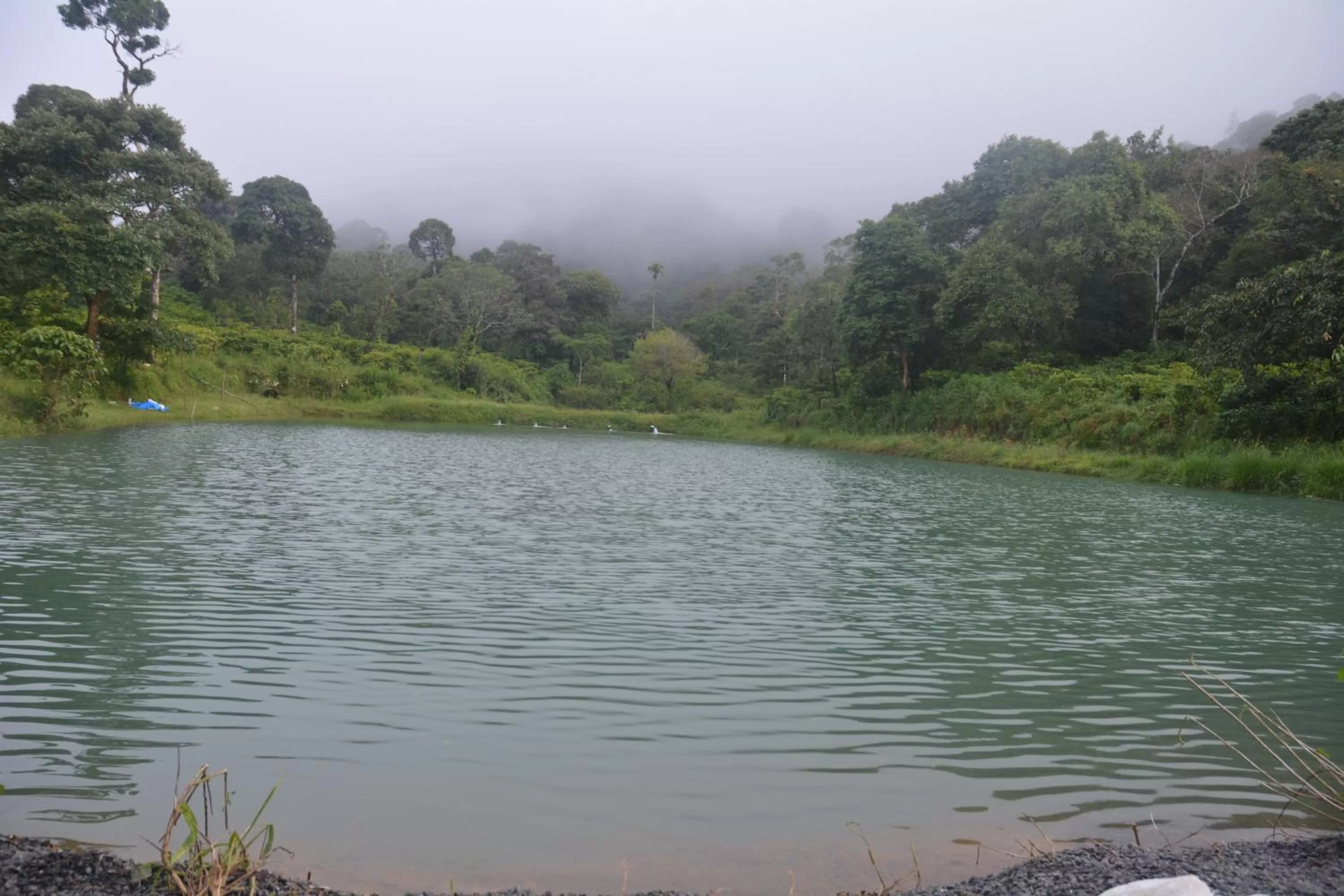 Lake view in Magnolia Estates & Resorts