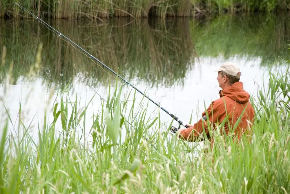 Fishing, Other Activities in Forsthaus-Ferienhotel am Dobrock