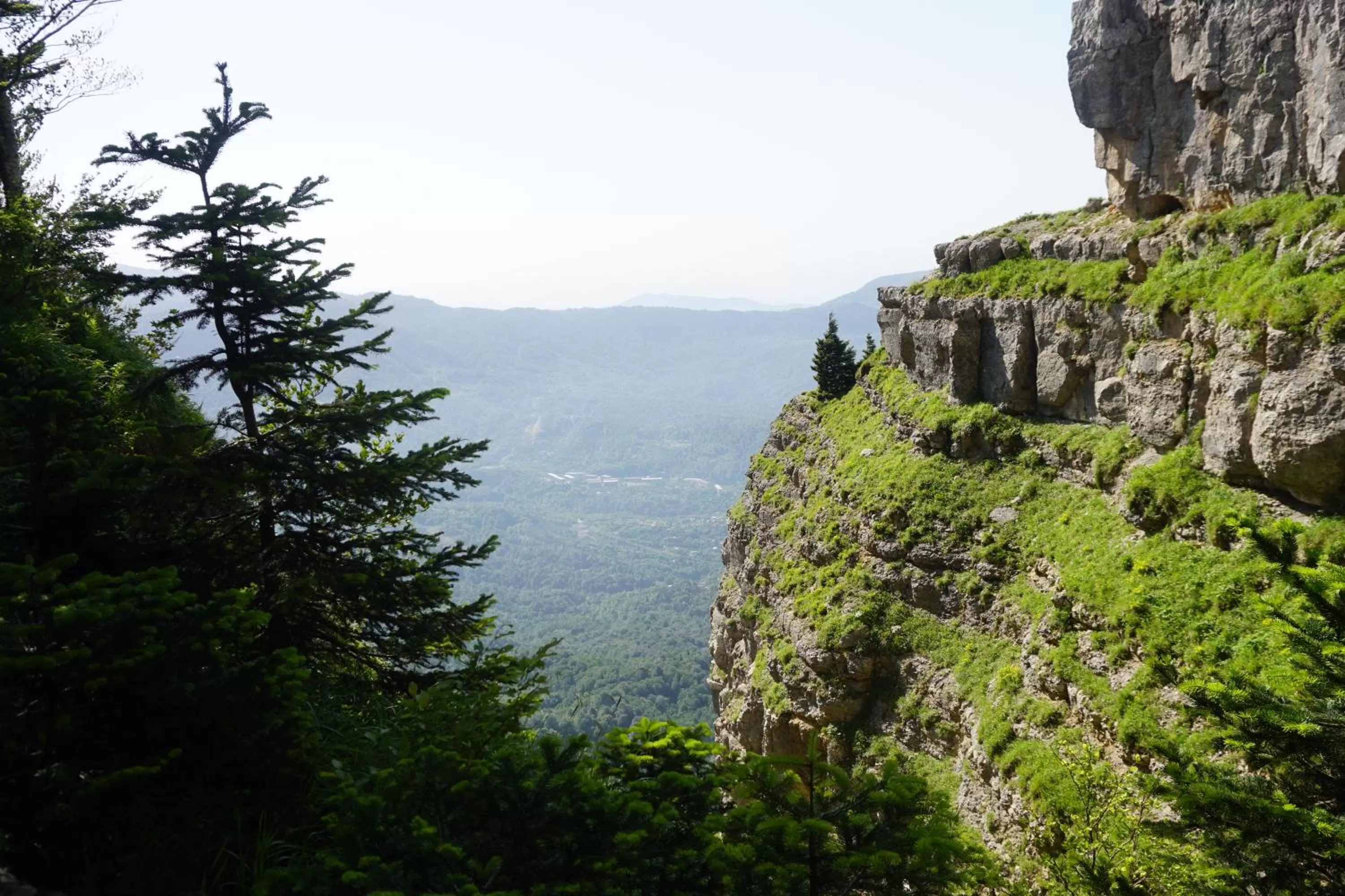 Natural Landscape in Hotel Tskhumi