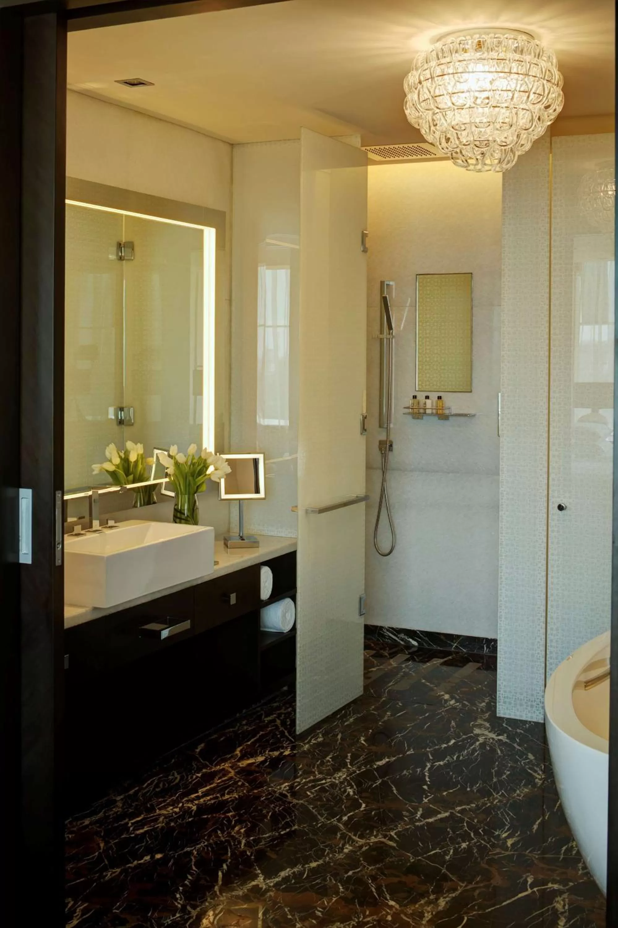Shower in Park Hyatt Hotel and Residences, Hyderabad