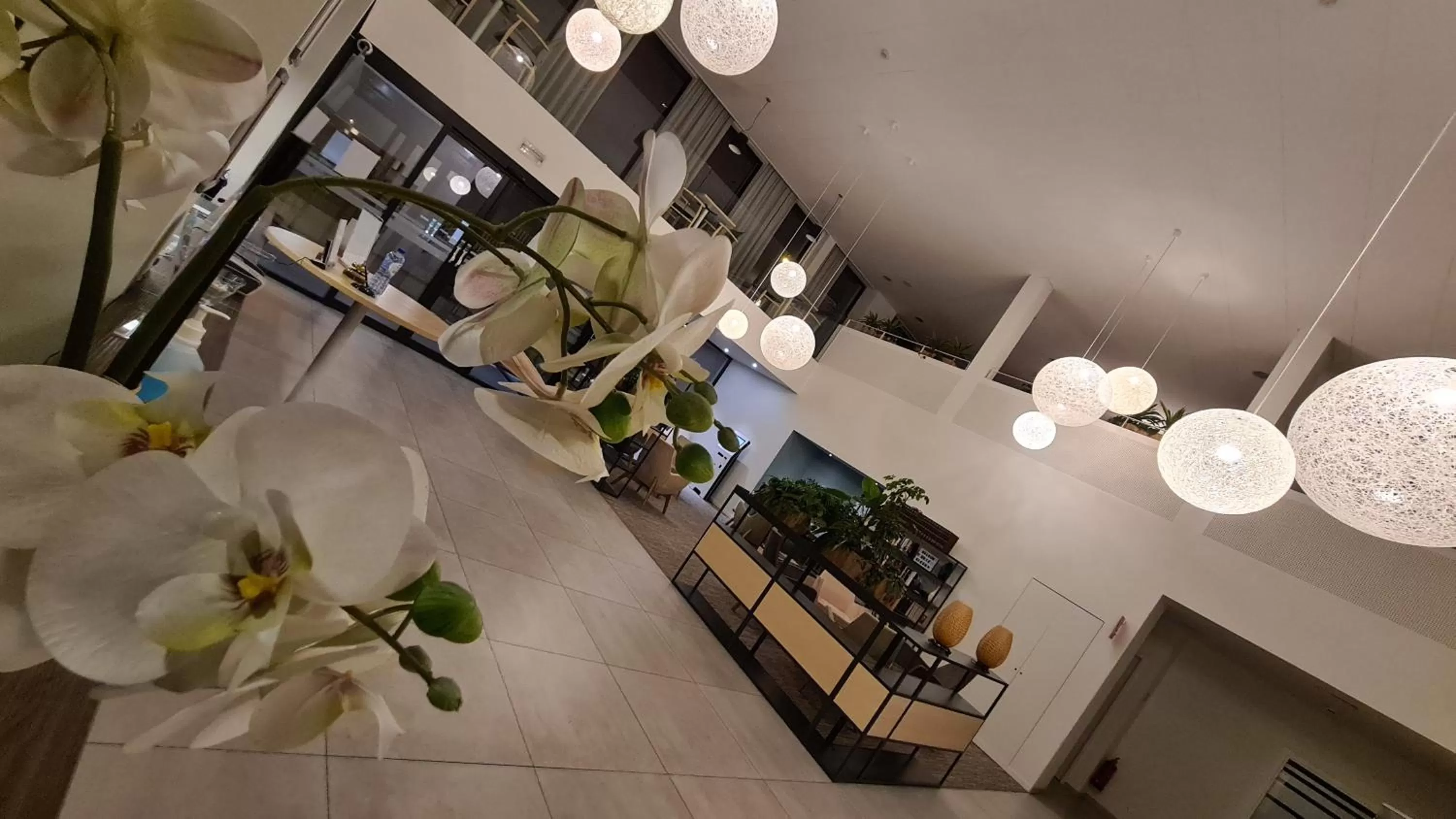 Lobby or reception in Hotel Drie Eiken