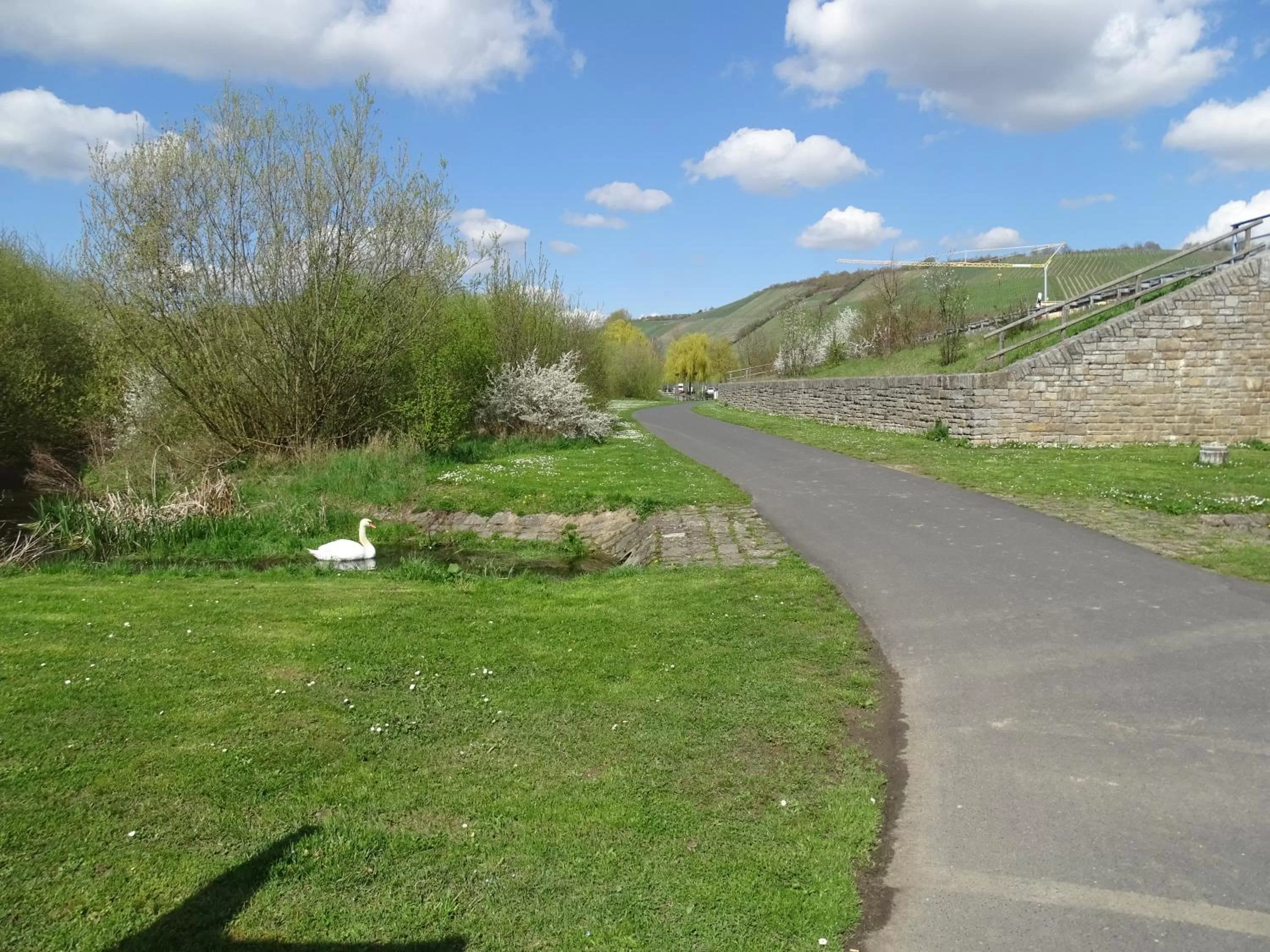 Hiking in Hotel Demling