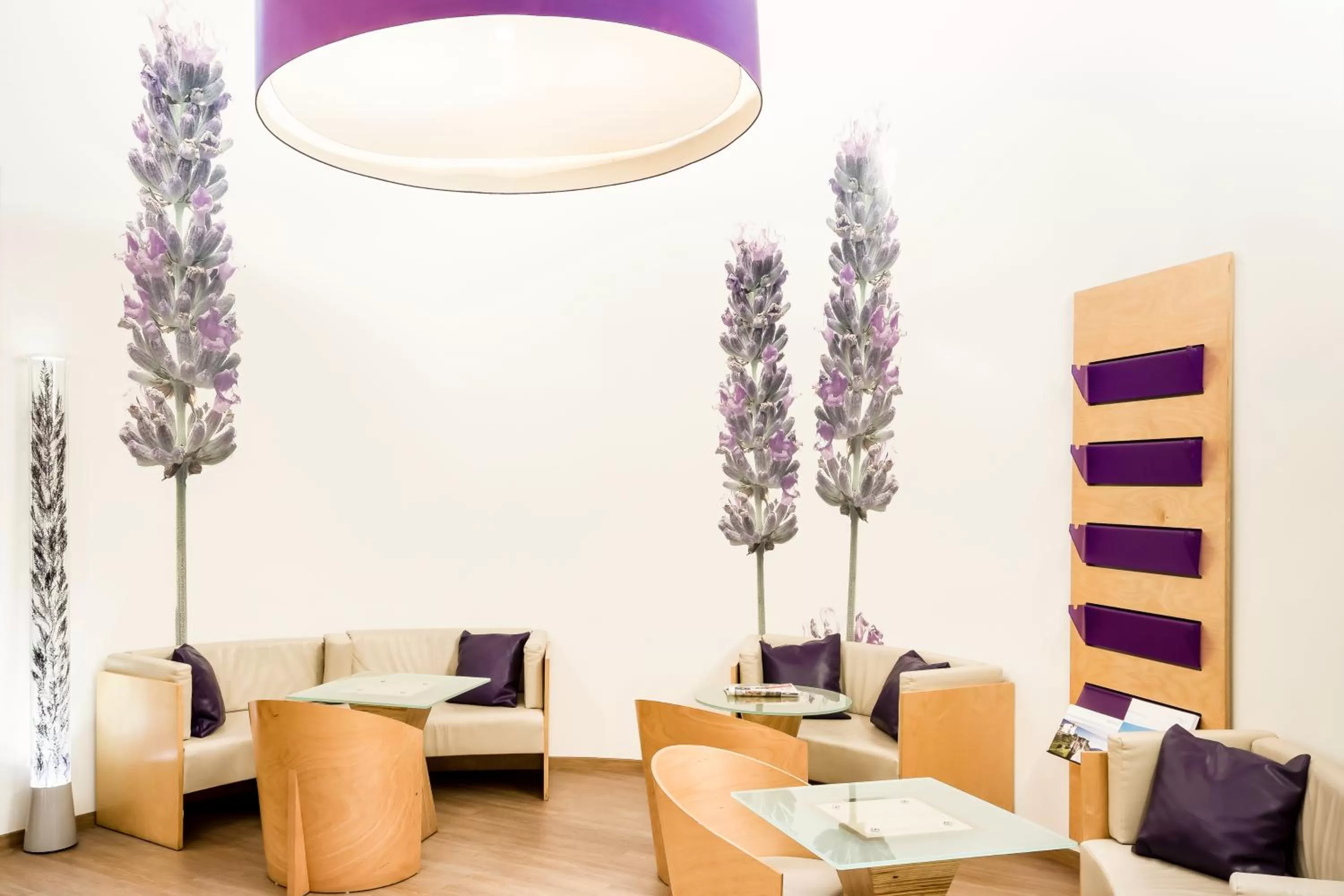 Lounge or bar in Hotel ibis Evora