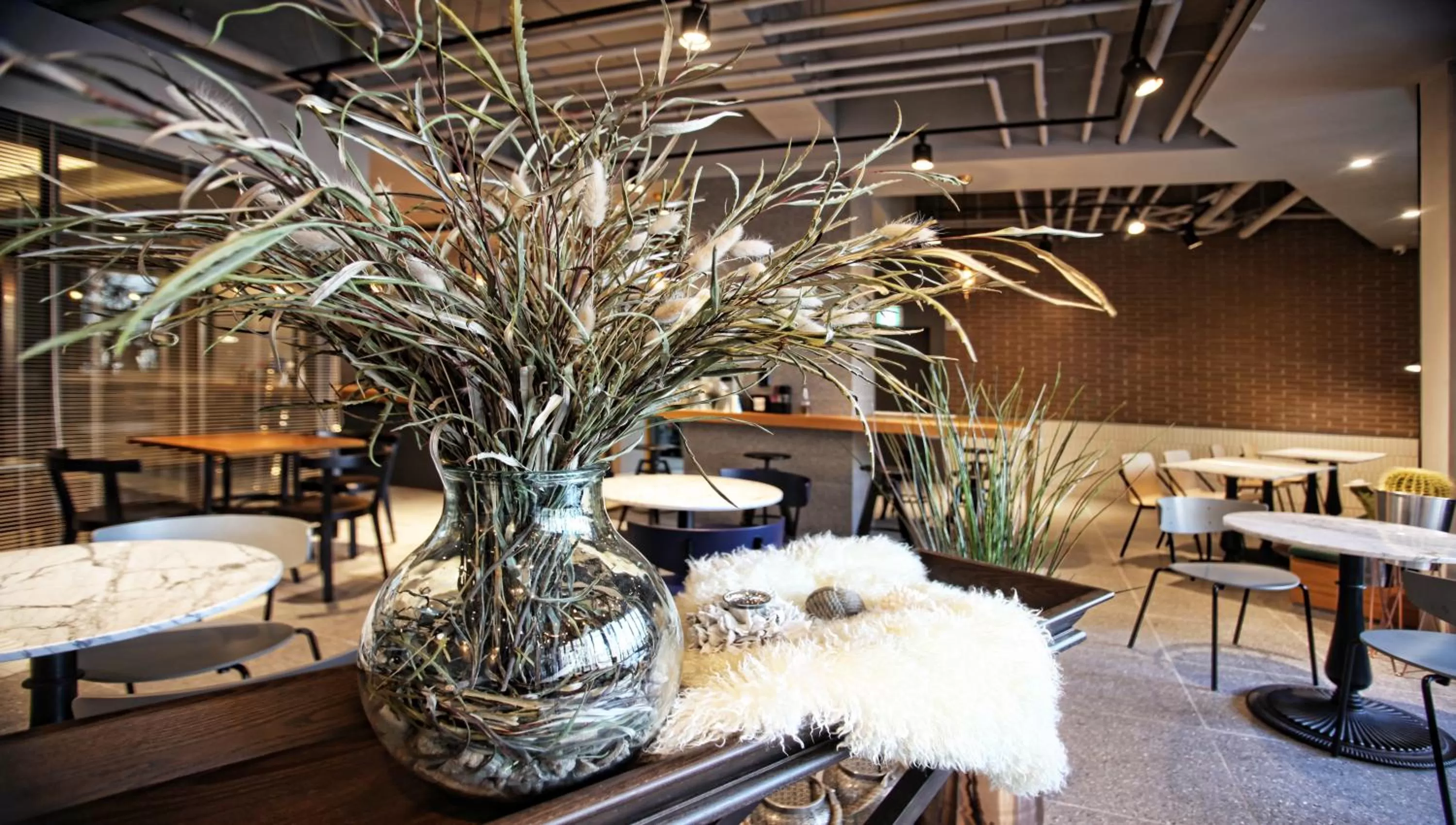 Lobby or reception in Bay Hound Hotel