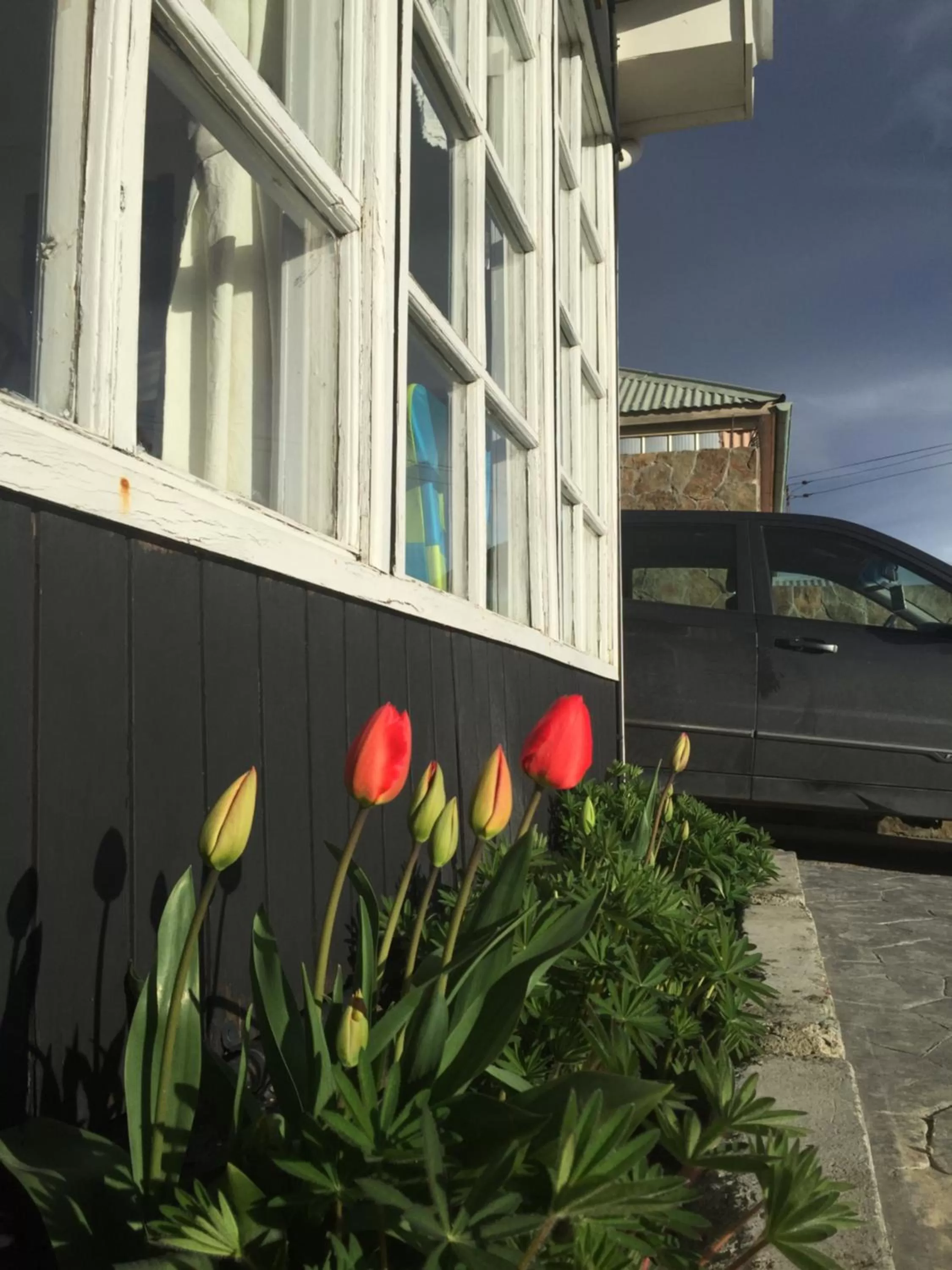 Facade/entrance, Property Building in Big Bang Patagonia - Traveler Assistance