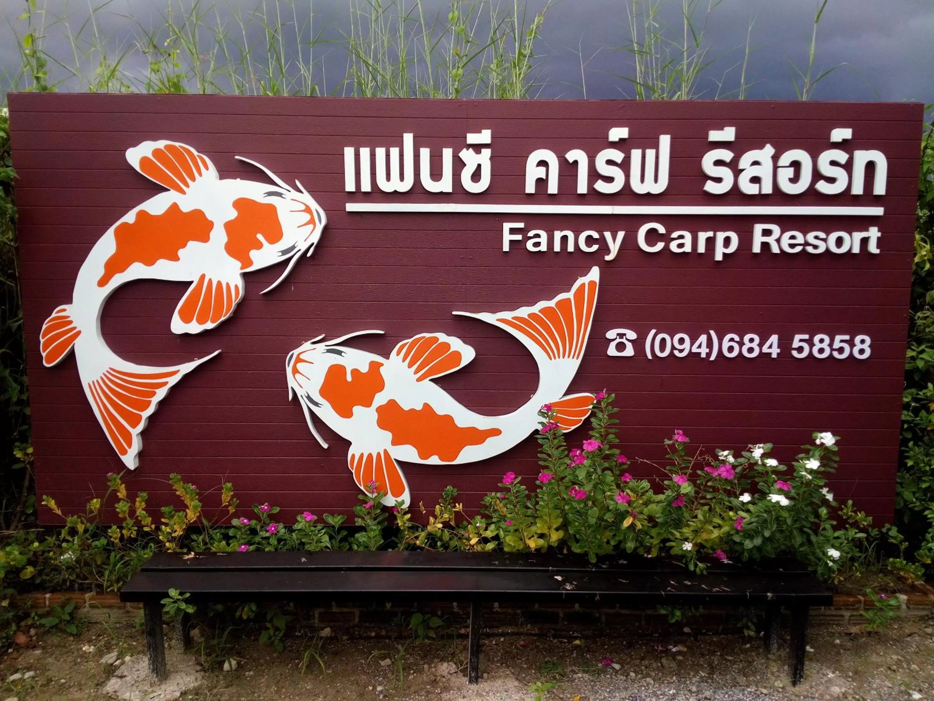 Fancy Carp Resort
