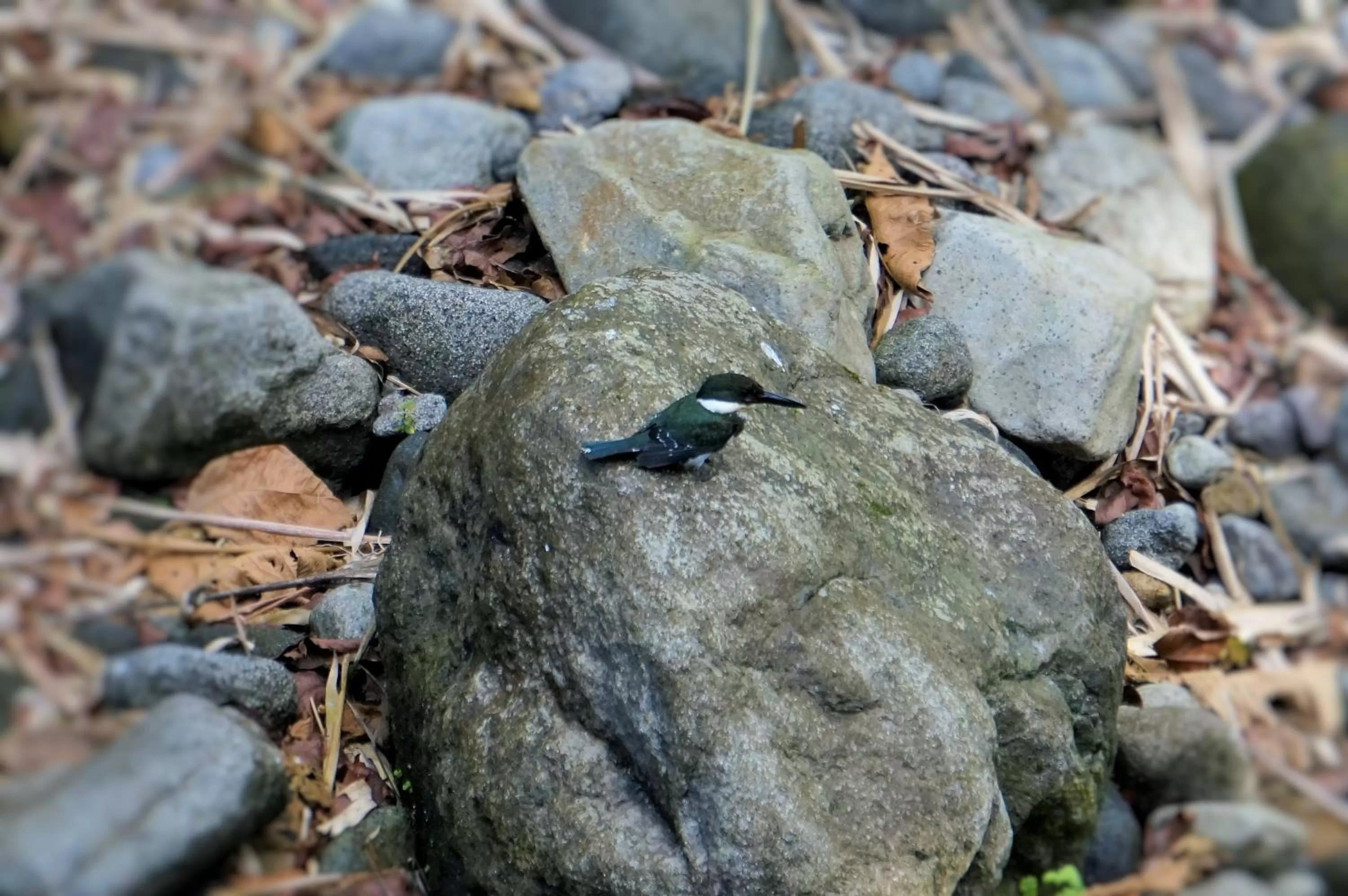 Area and facilities in Hotel Monte Real