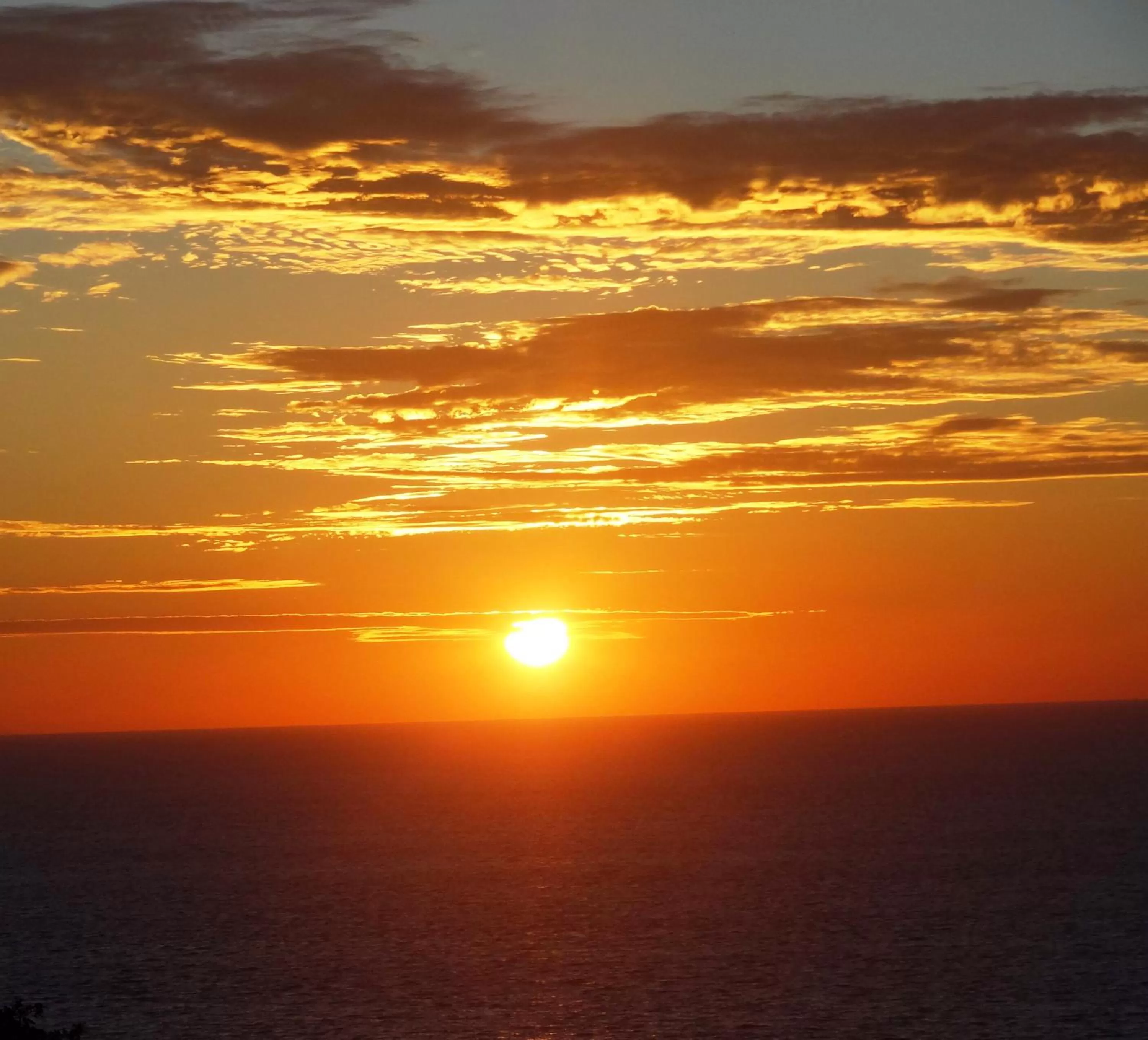 Natural landscape in Emperador Vallarta Beachfront Hotel and Suites
