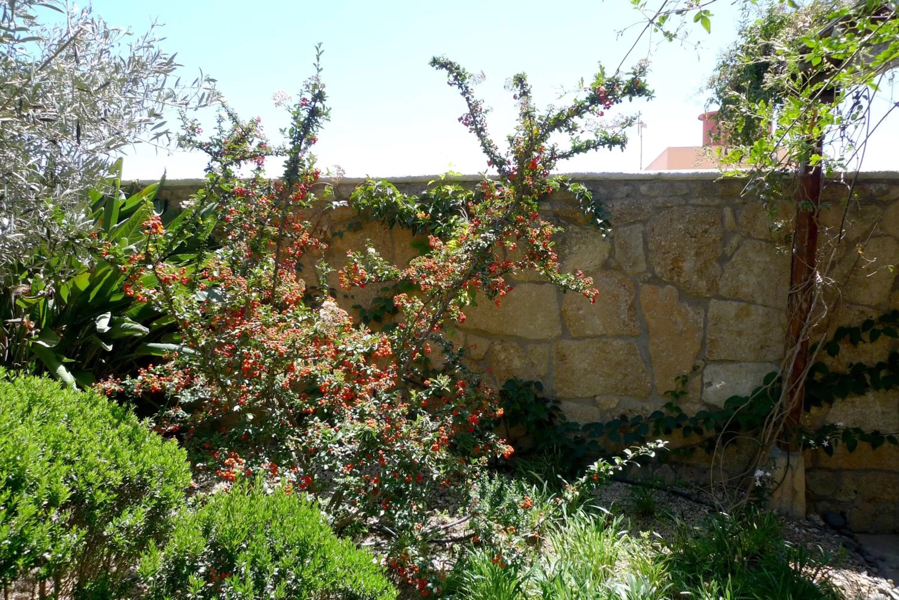 Garden in Hotel Rural San Miguel - Only Adults