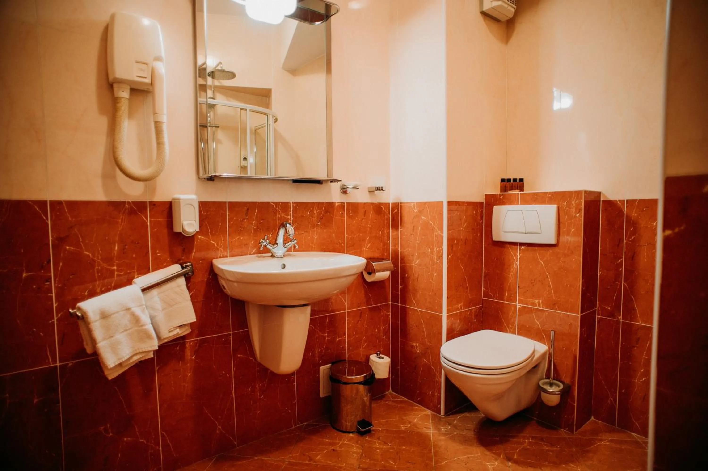 Bathroom in Hotel Coandi