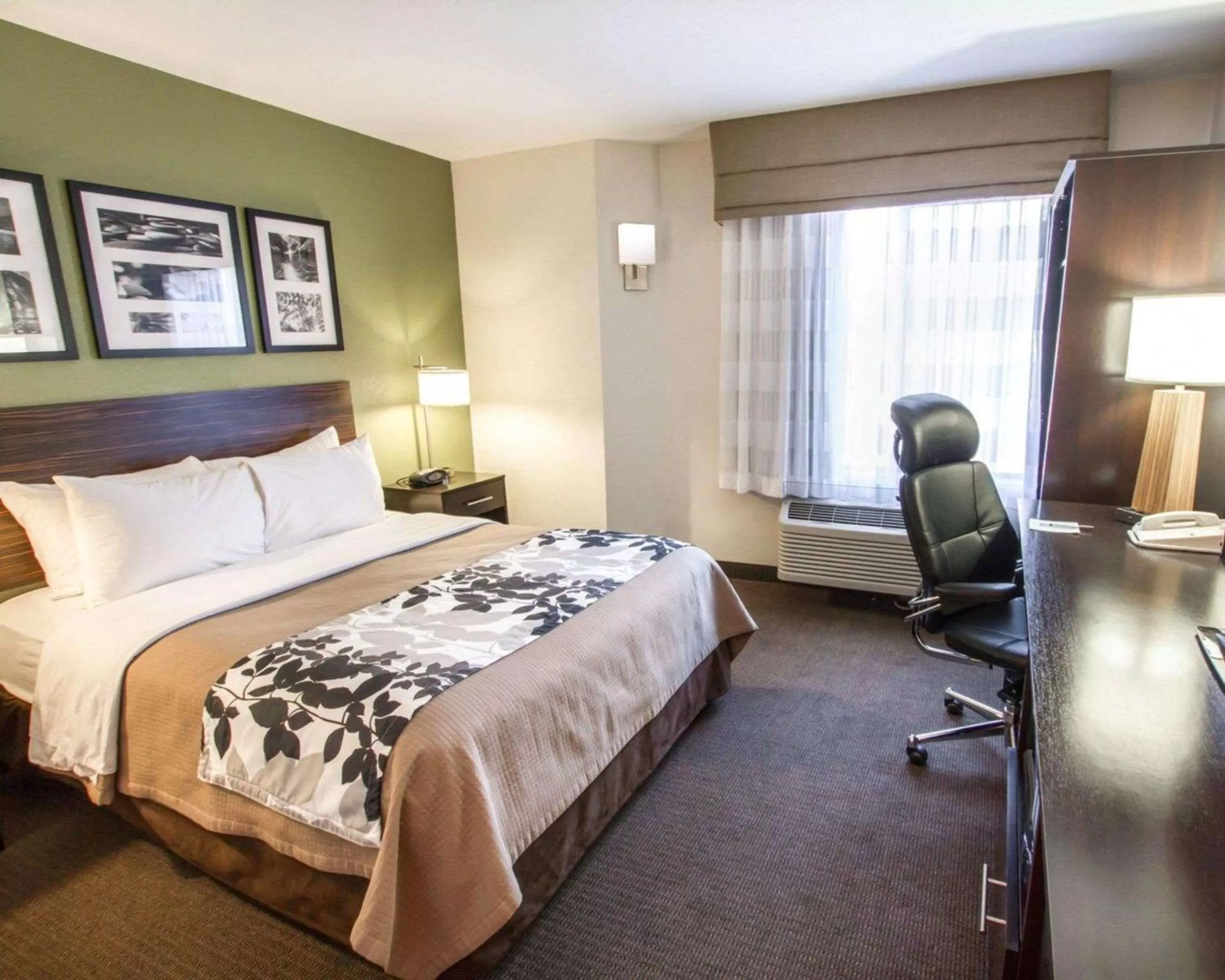 Photo of the whole room, Bed in Sleep Inn North Scottsdale near Mayo Clinic