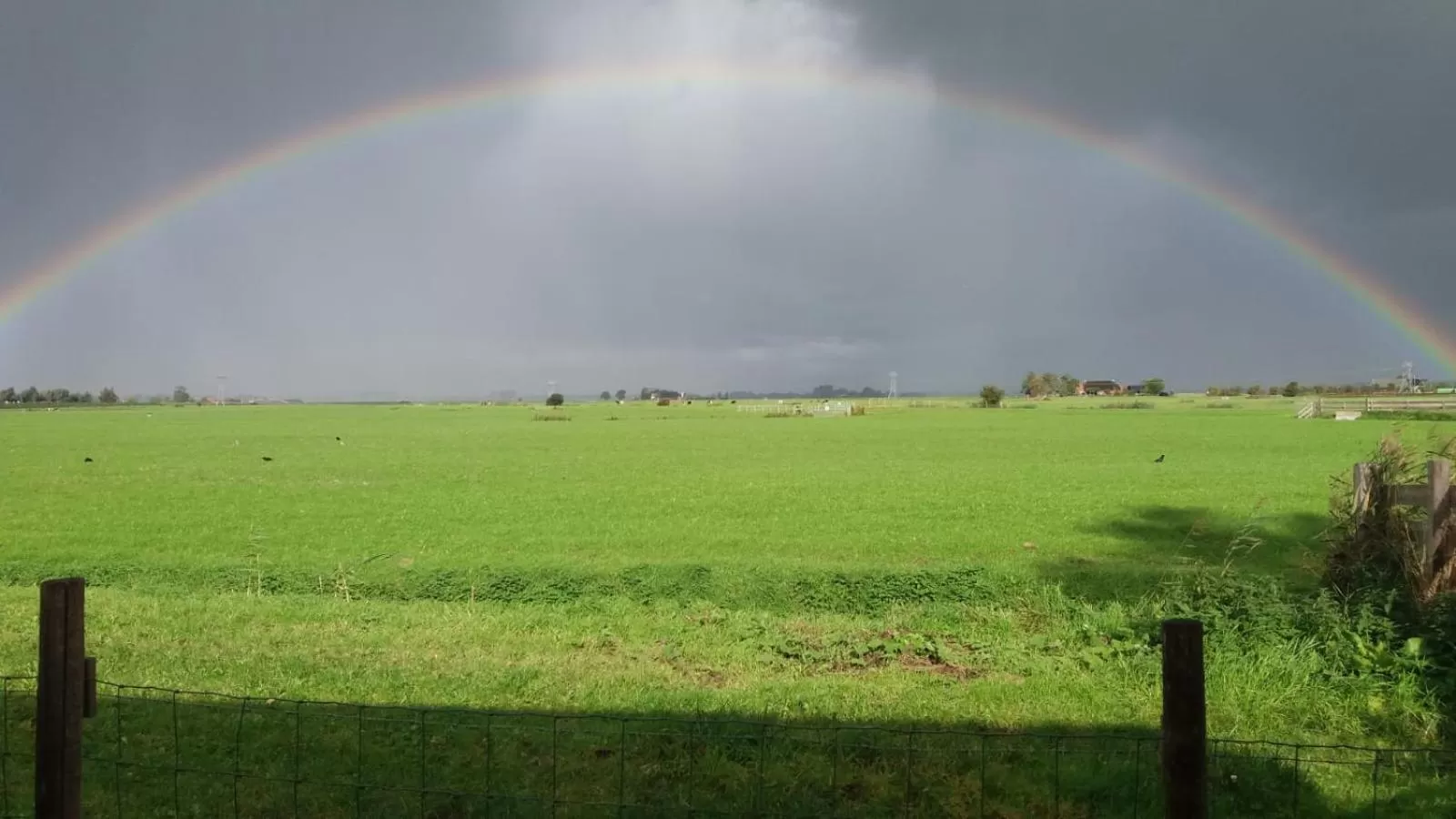 Natural landscape in B&B Molenstreek