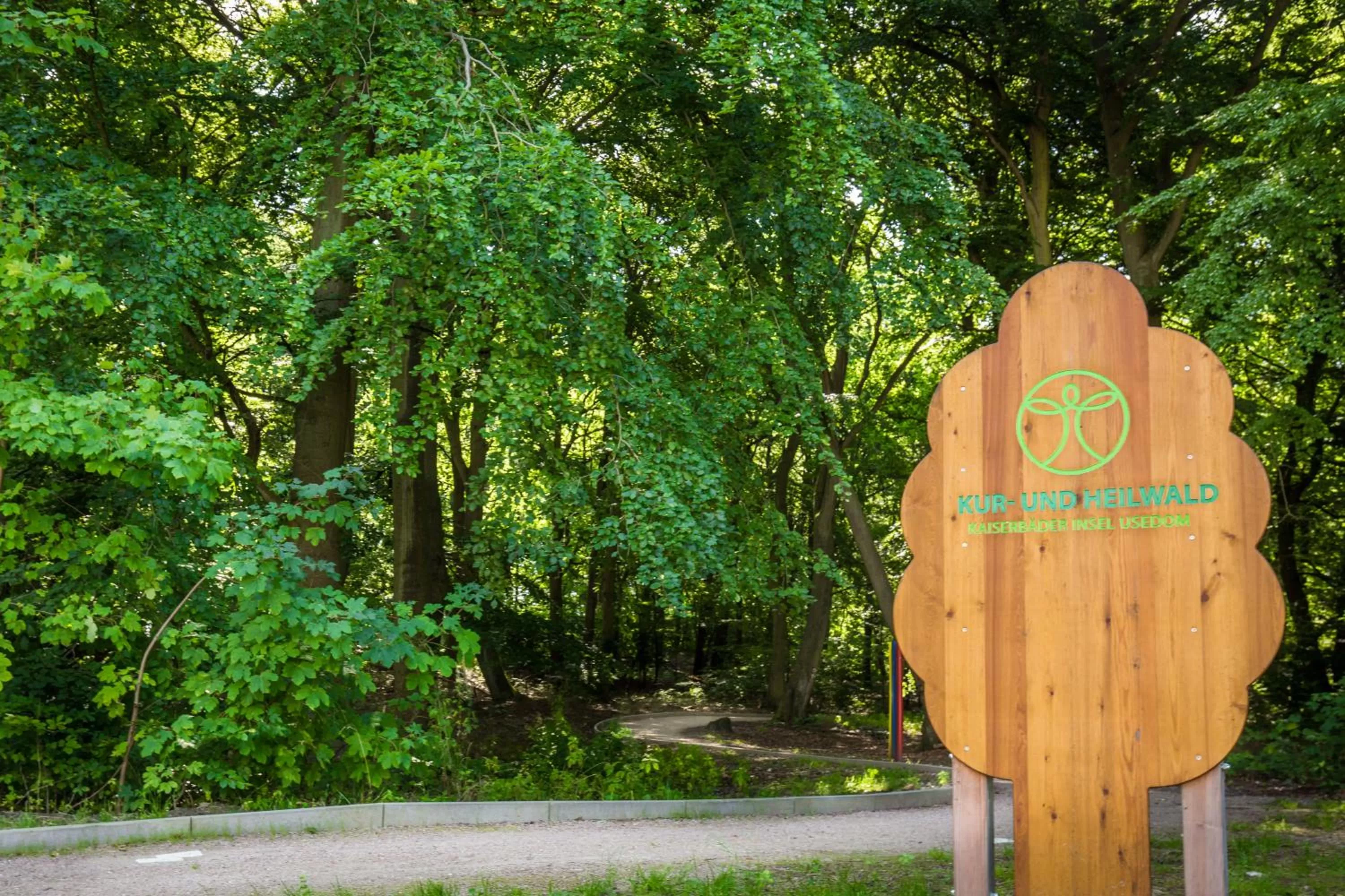 Activities in Hotel Boje06