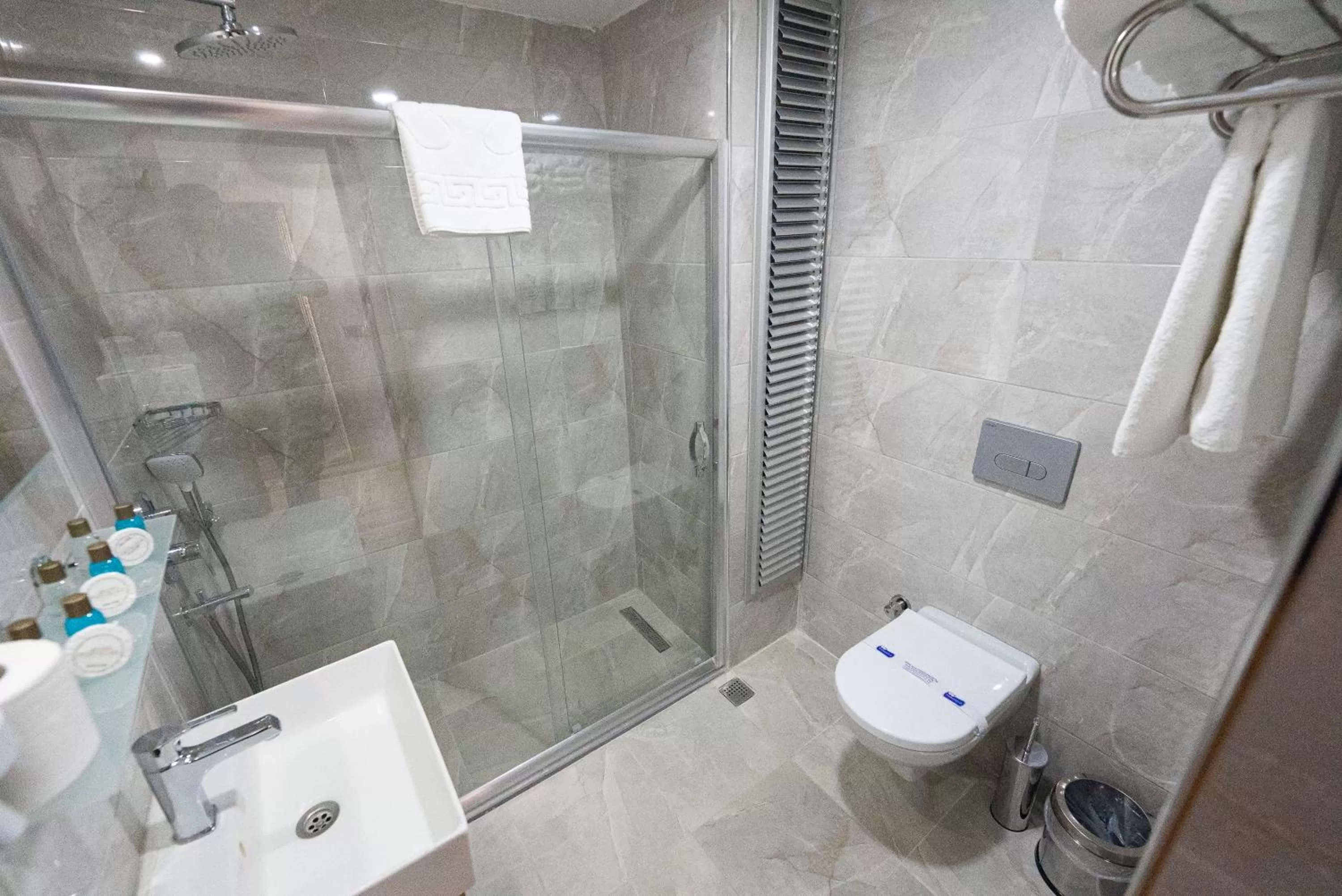 Toilet in Istanbul Panorama Hotel