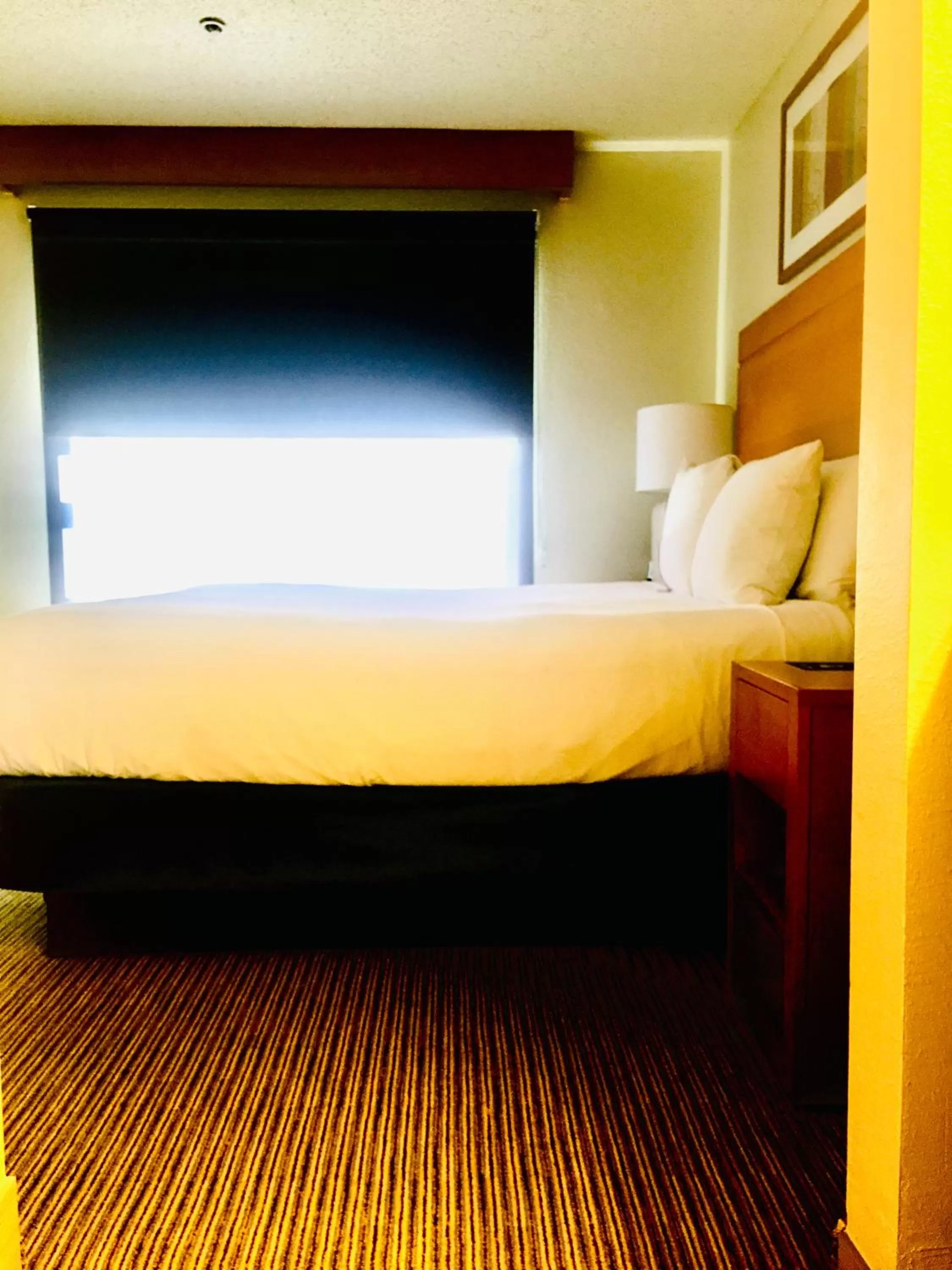 King Studio Suite in Hyatt House Houston/Energy Corridor