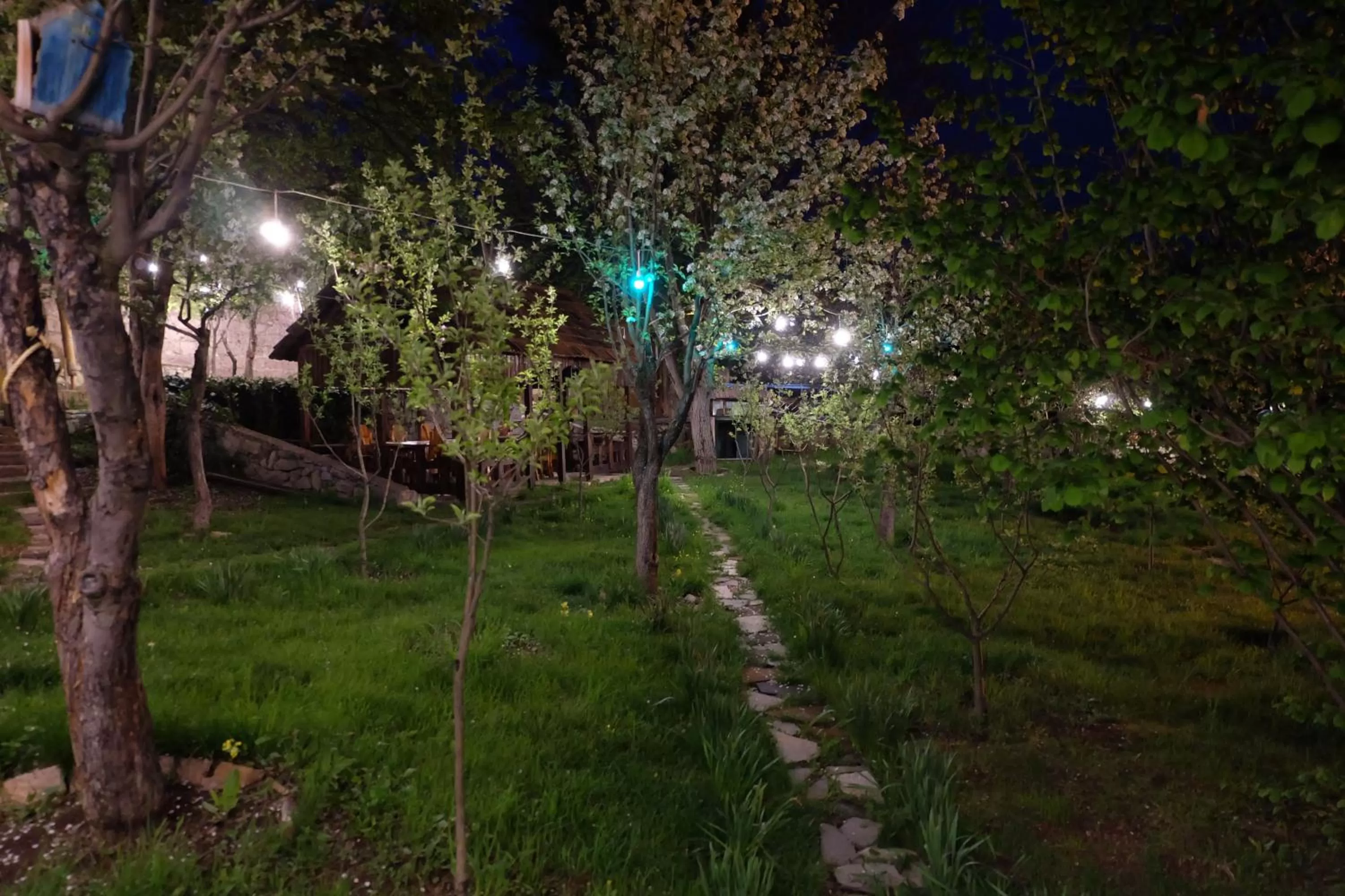 Night, Garden in Dil Hill by Sam