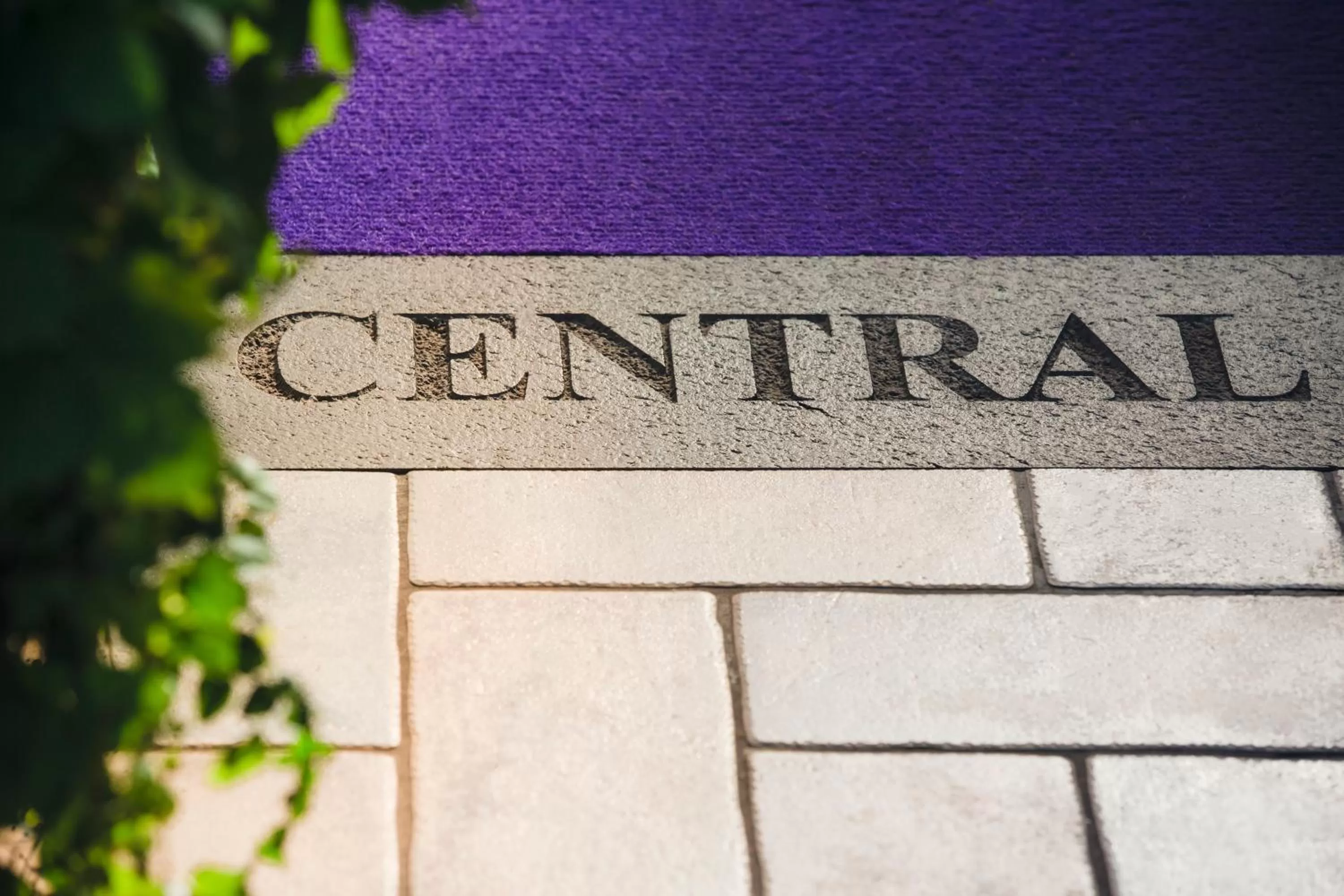 Logo/Certificate/Sign in Central Park Terme