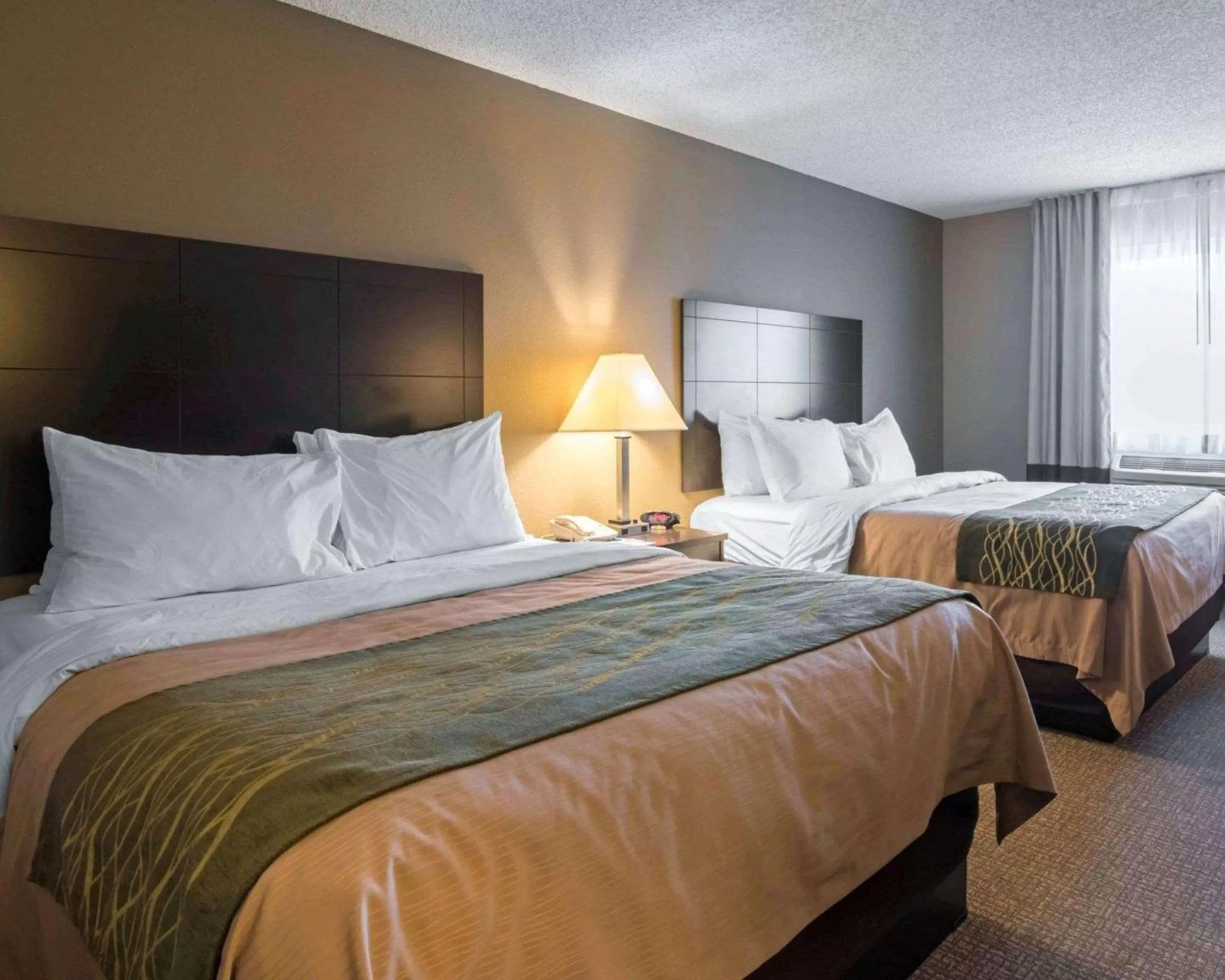 Photo of the whole room, Bed in Comfort Inn Saugerties