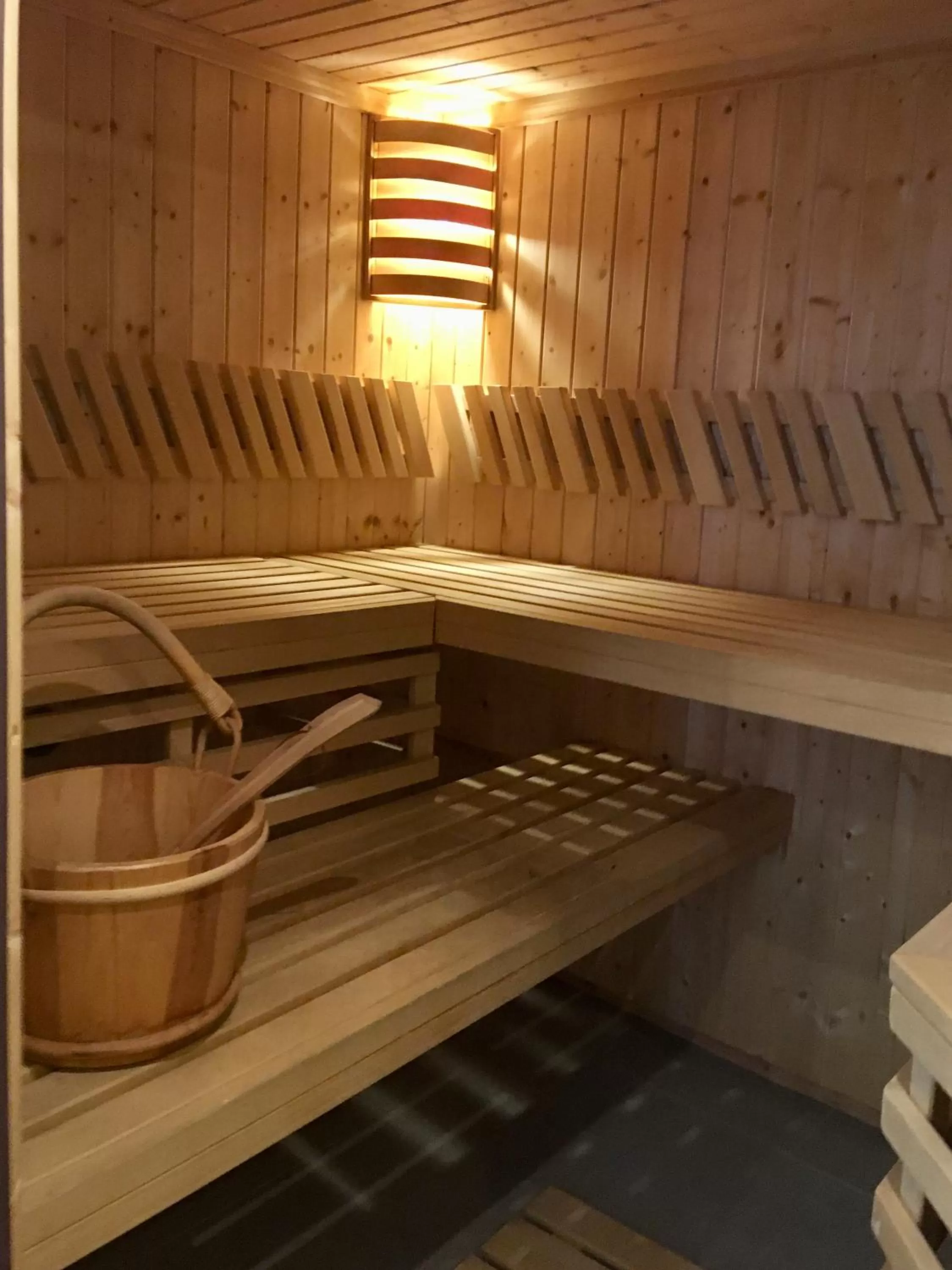 Sauna in Villa MB